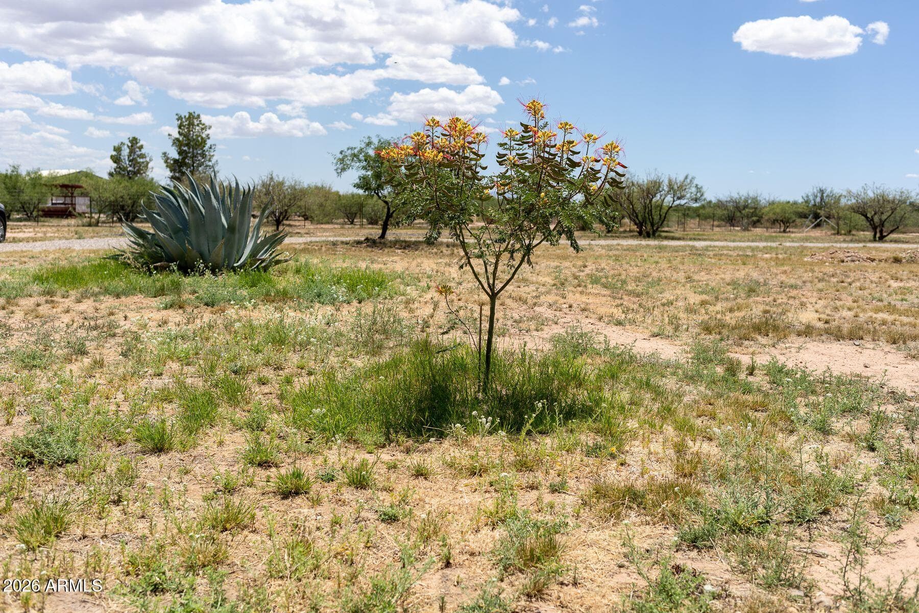 10847 S Kings Ranch Road, Hereford, AZ 85615 — photo 47 of 49