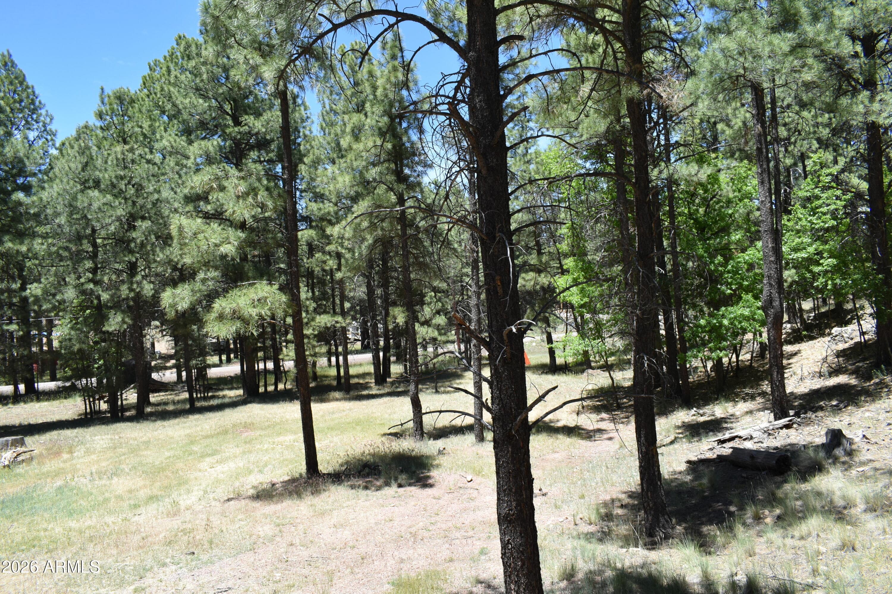 2509 DEER RIDGE Drive, Happy Jack, AZ 86024 — photo 39 of 39