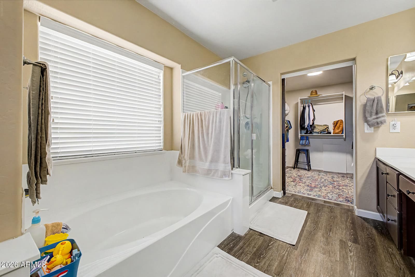 28929 N Calcite Way, San Tan Valley, AZ 85143 — photo 31 of 43
