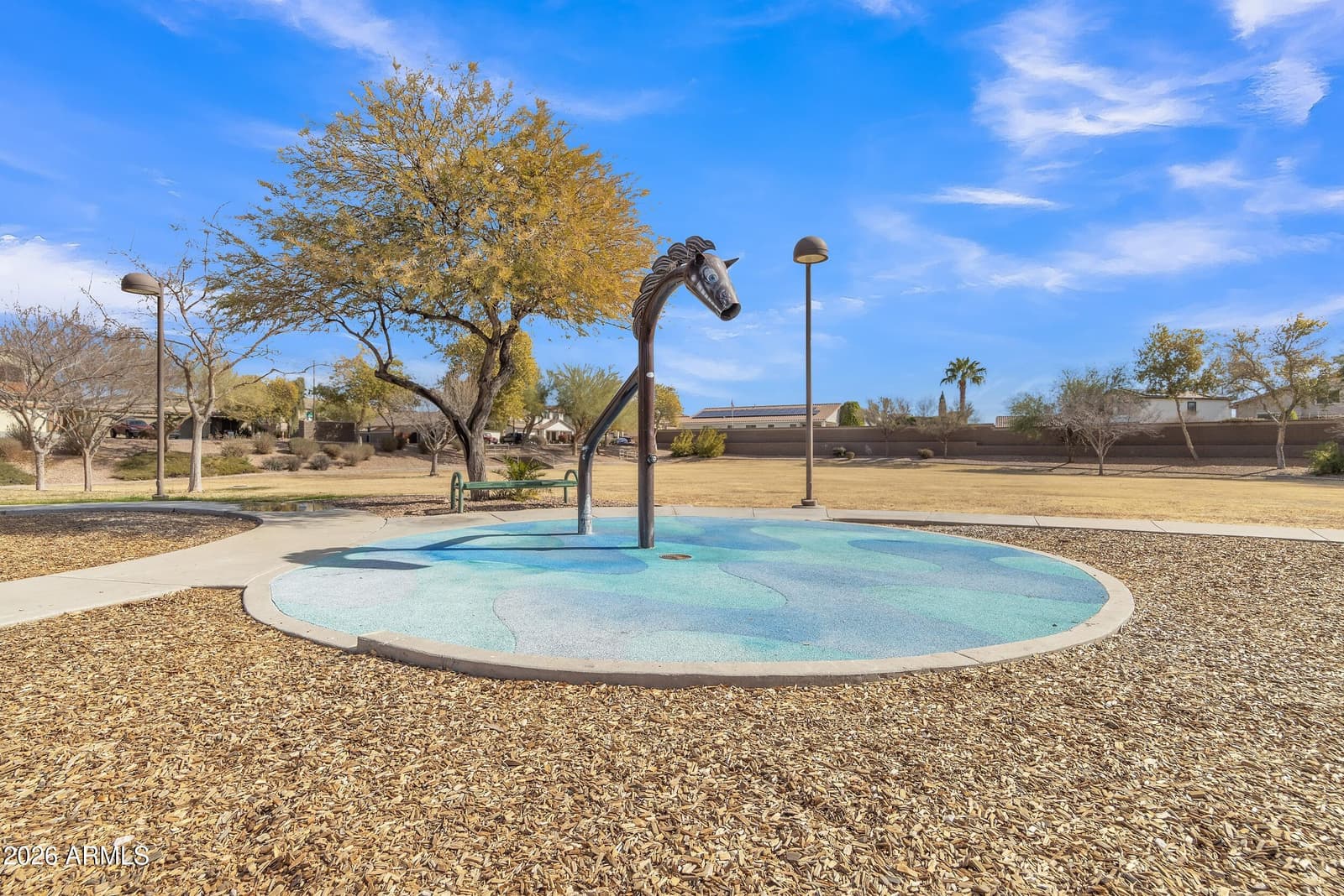 3066 N 309th Drive, Buckeye, AZ 85396 — photo 87 of 87
