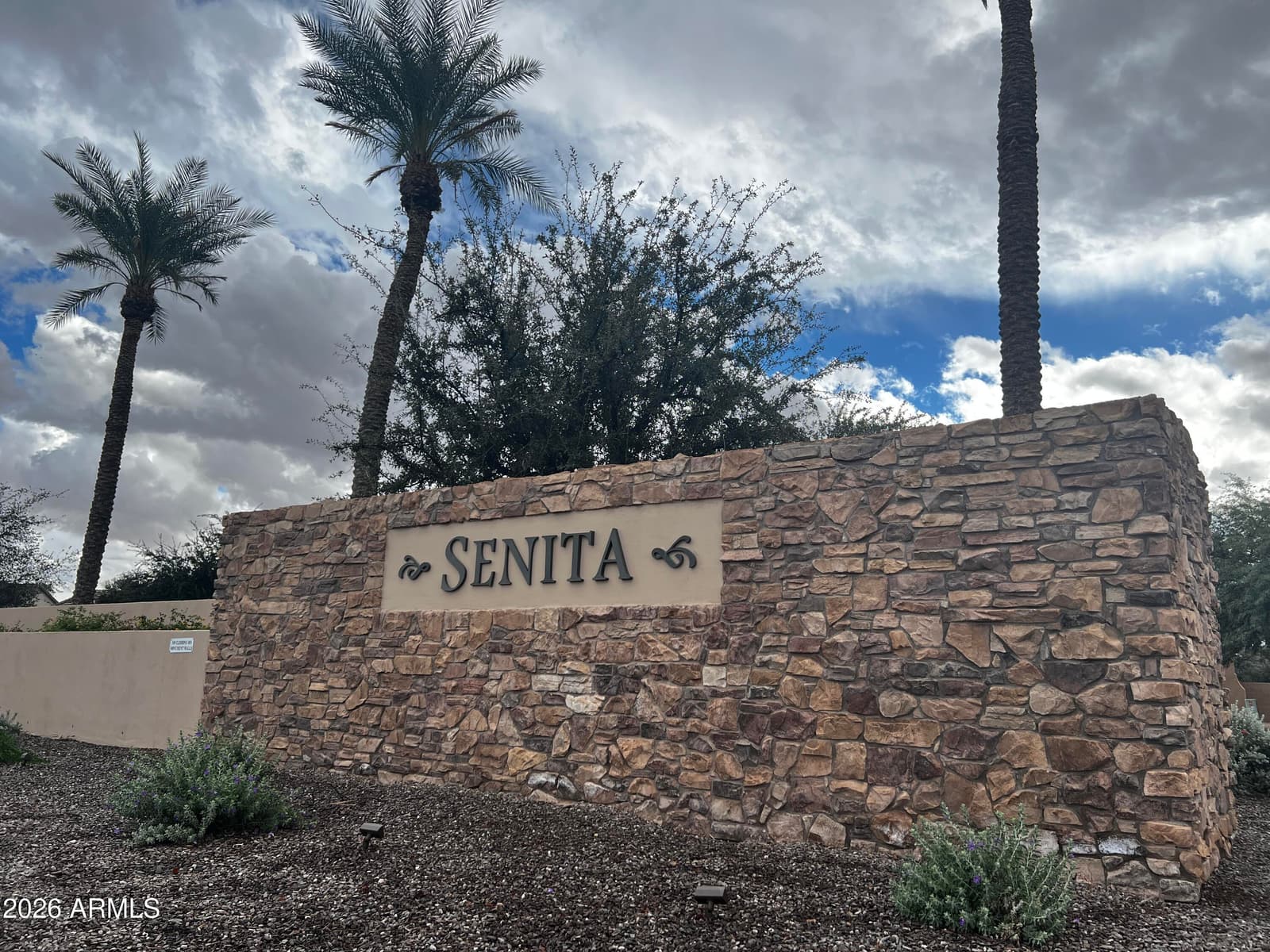 43669 W WILD HORSE Trail, Maricopa, AZ 85138 — photo 2 of 31