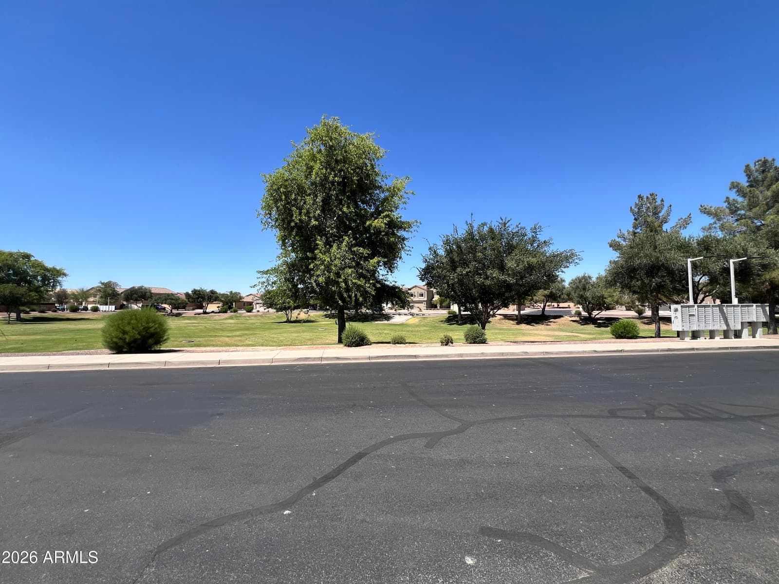 43669 W WILD HORSE Trail, Maricopa, AZ 85138 — photo 19 of 31