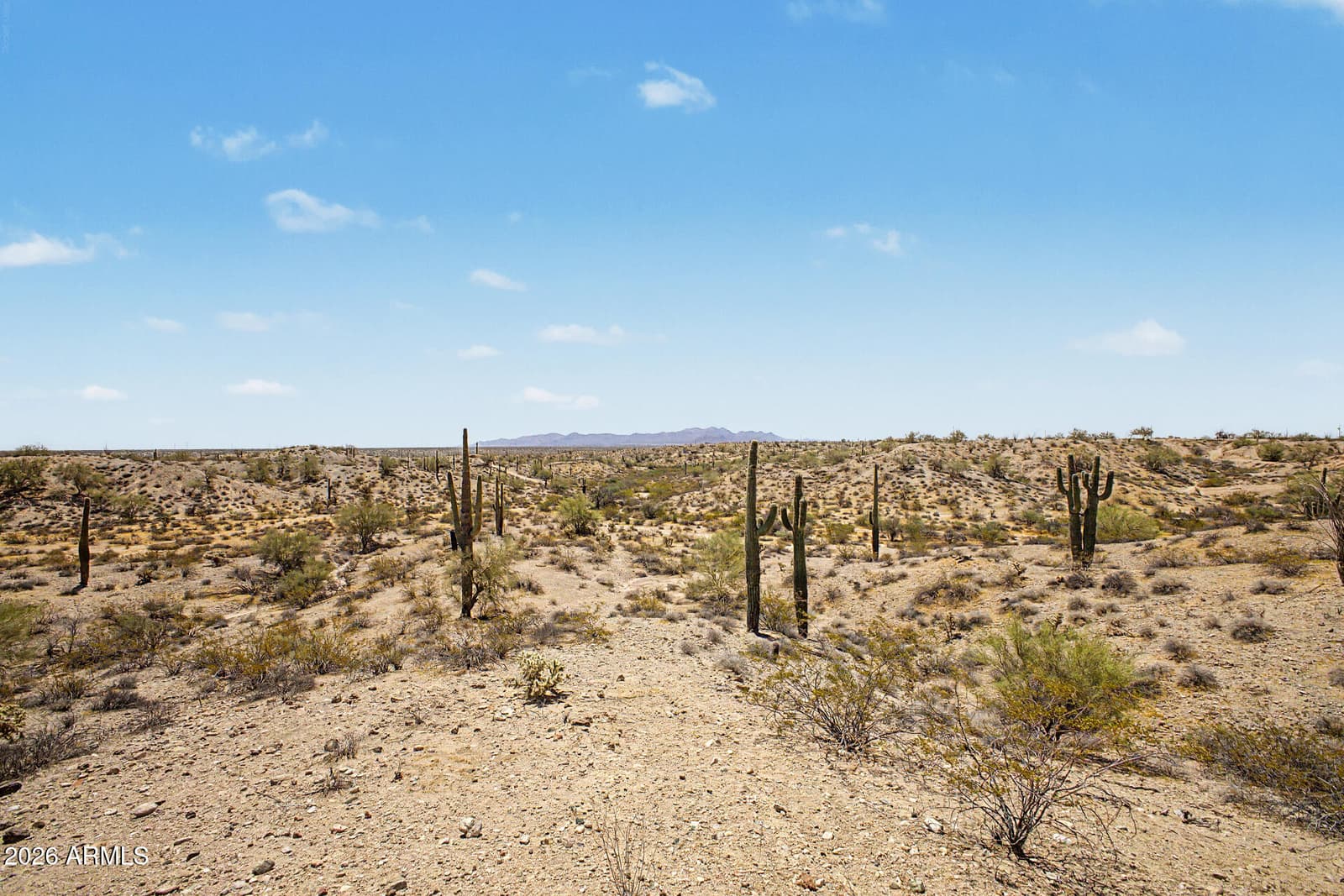 29714 W PEAKVIEW Road, Wittmann, AZ 85361 — photo 44 of 51