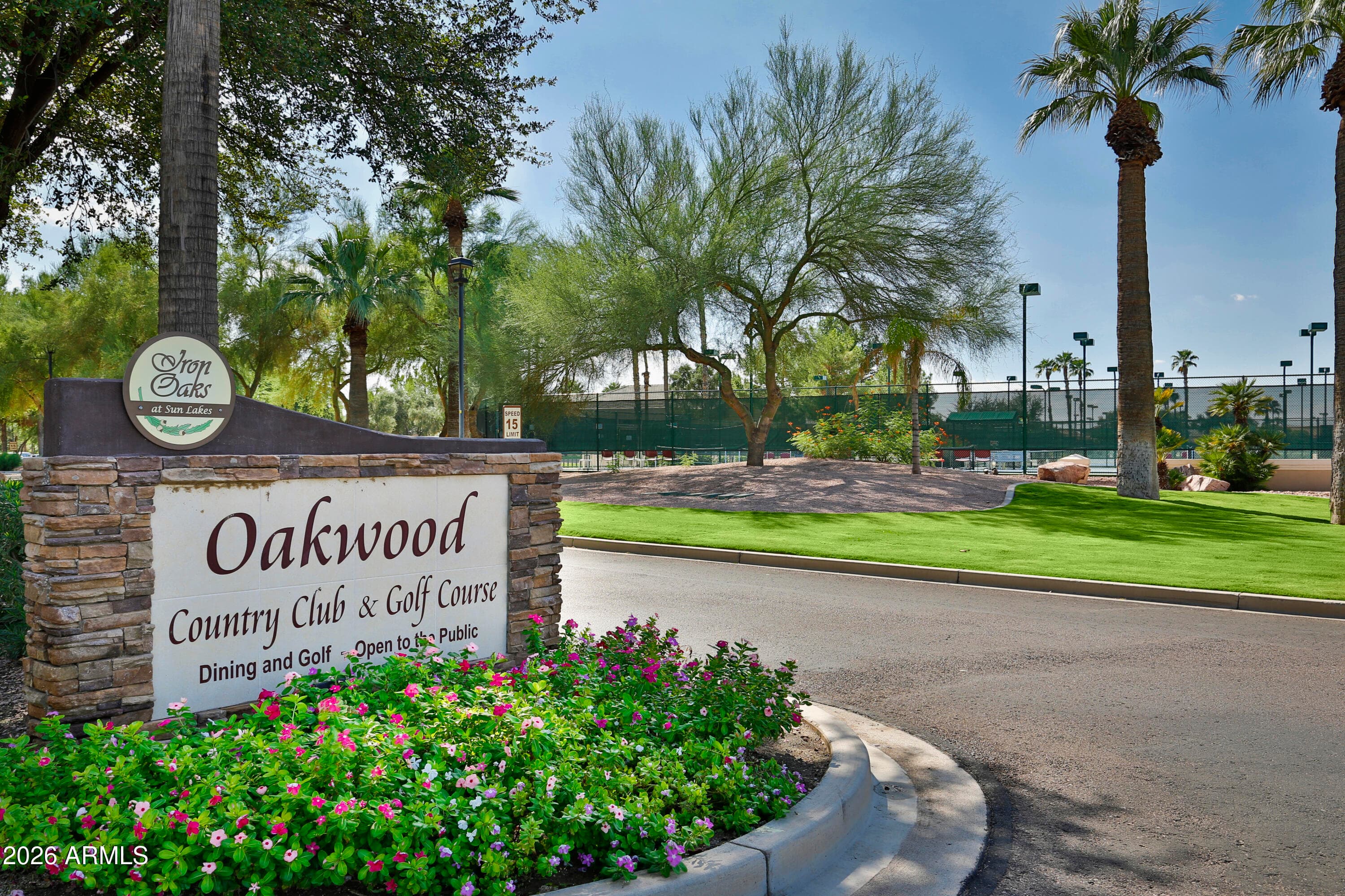 24511 S SADDLETREE Drive, Sun Lakes, AZ 85248 — photo 26 of 42