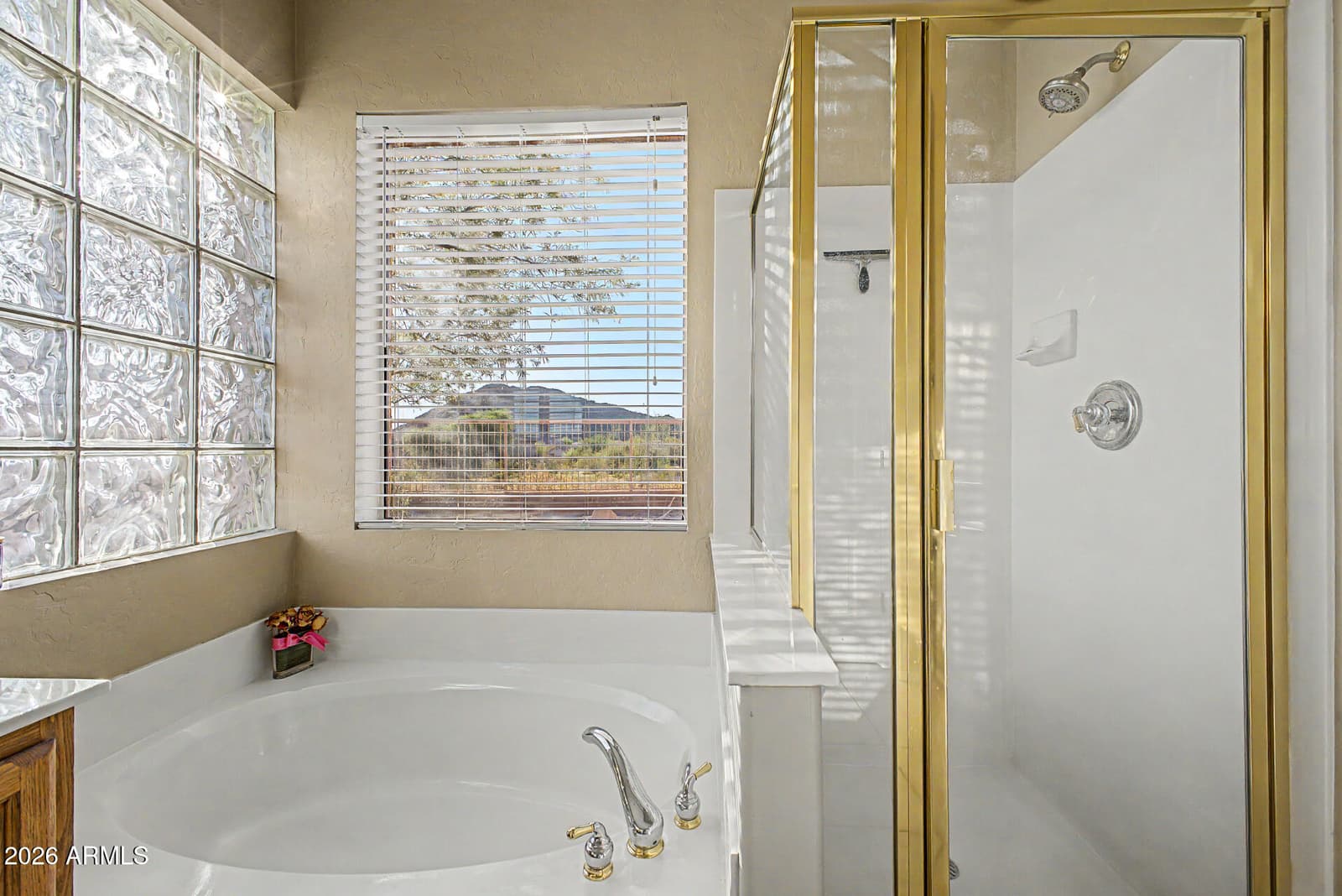 3060 N RIDGECREST 139, Mesa, AZ 85207 — photo 26 of 51