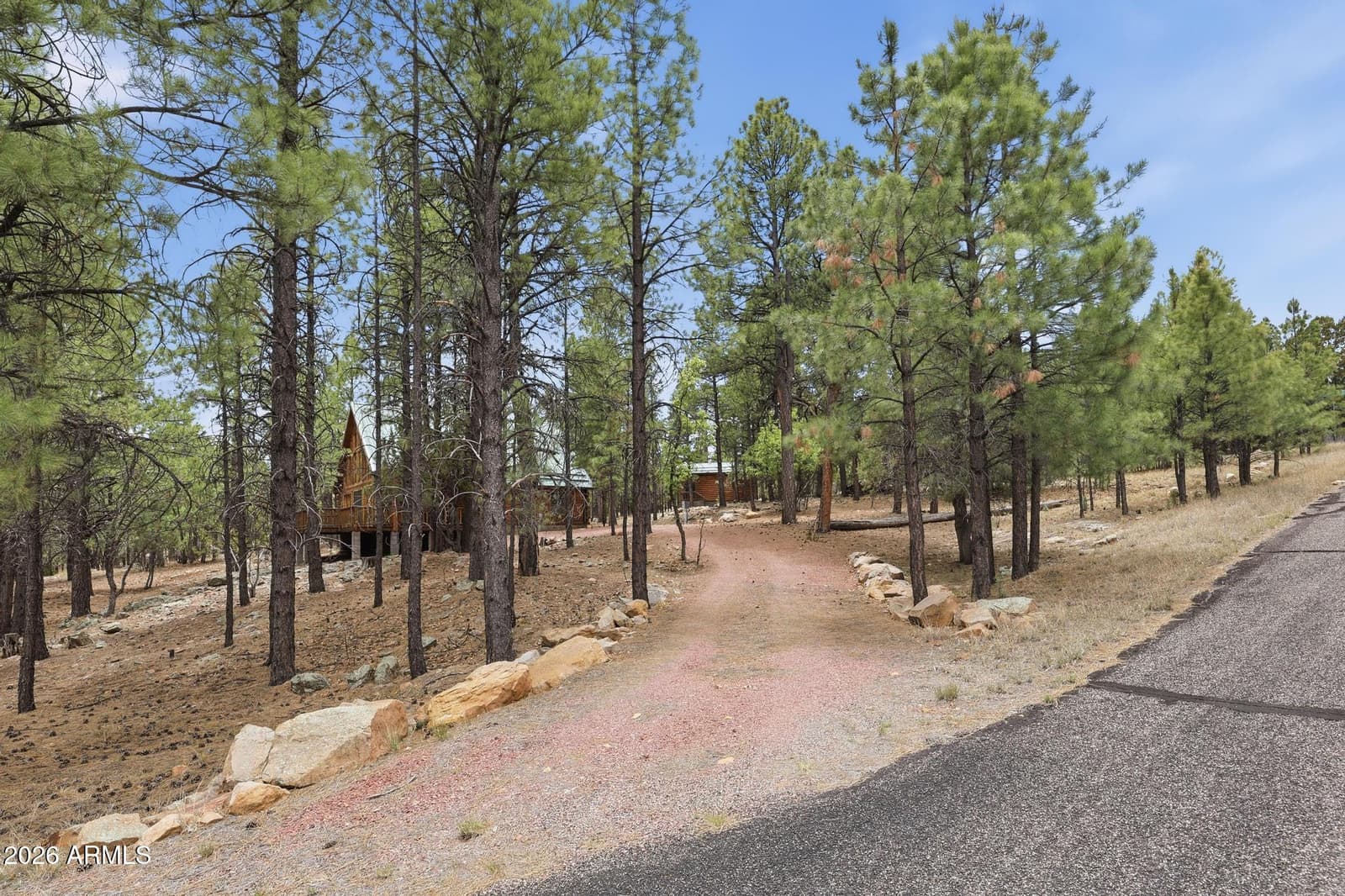 3009 STARLIGHT Drive, Happy Jack, AZ 86024 — photo 25 of 32