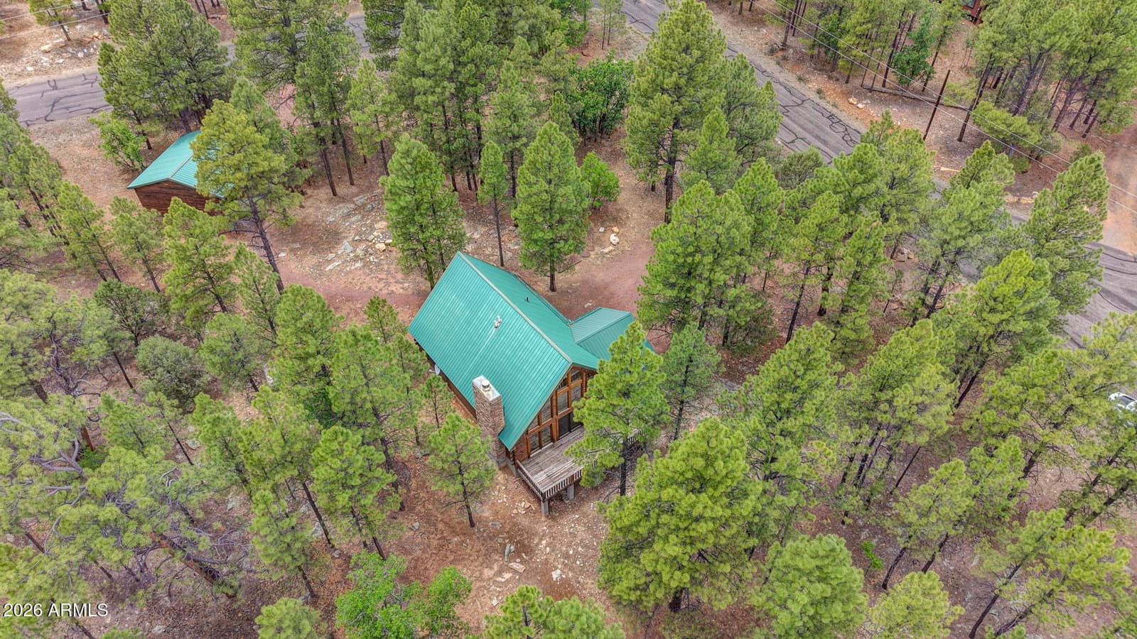 3009 STARLIGHT Drive, Happy Jack, AZ 86024 — photo 31 of 32