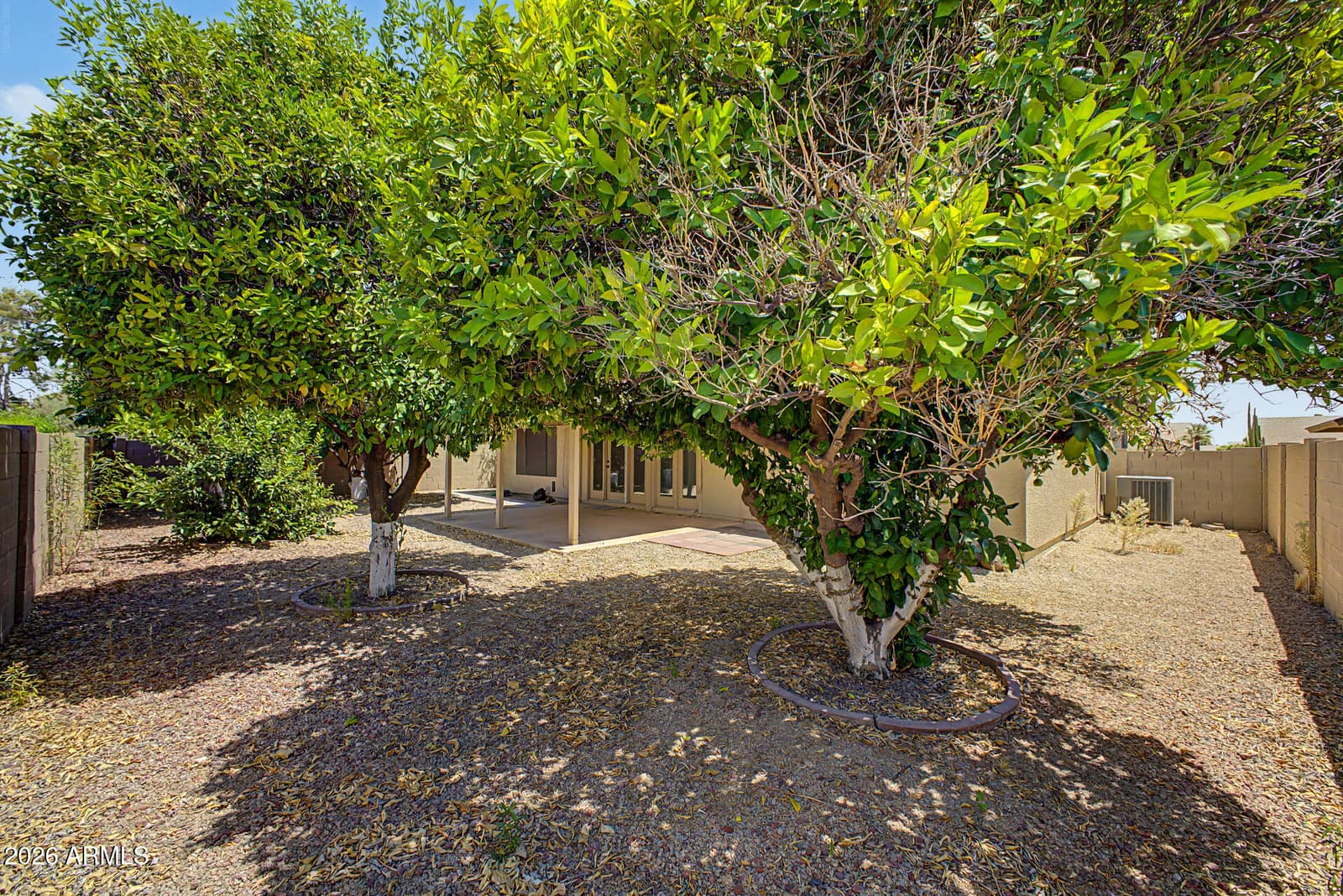 9814 W WESCOTT Drive, Peoria, AZ 85382 — photo 21 of 25
