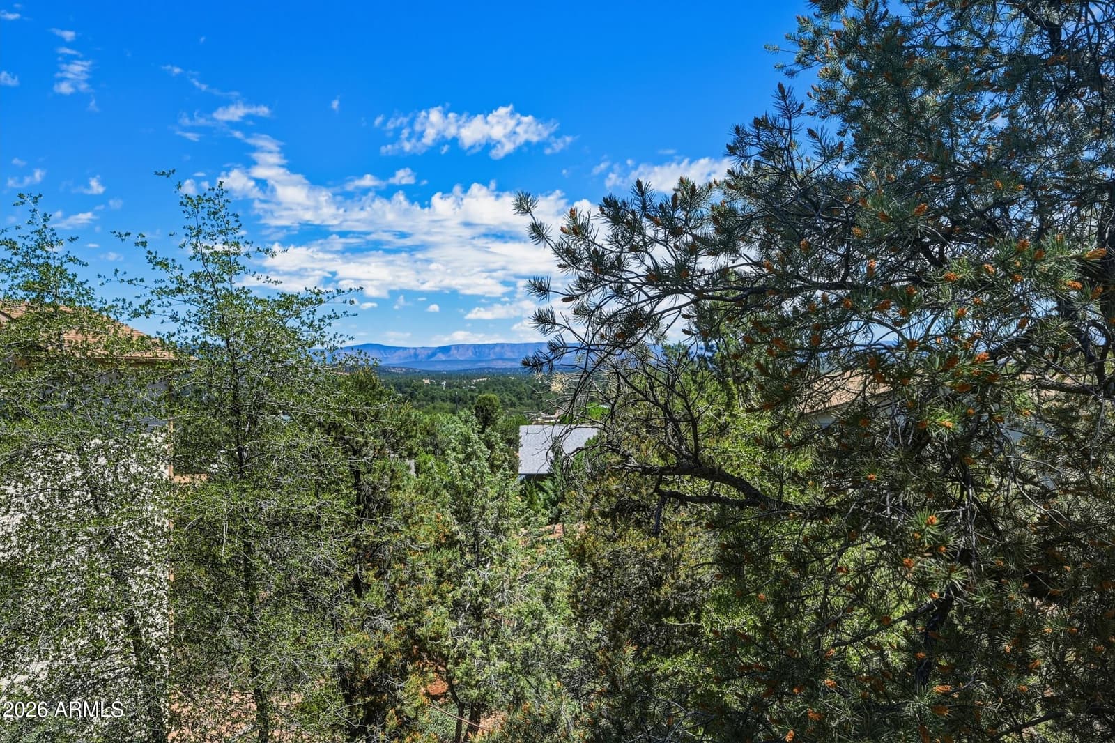 1131 S Sycamore Circle, Payson, AZ 85541 — photo 37 of 70