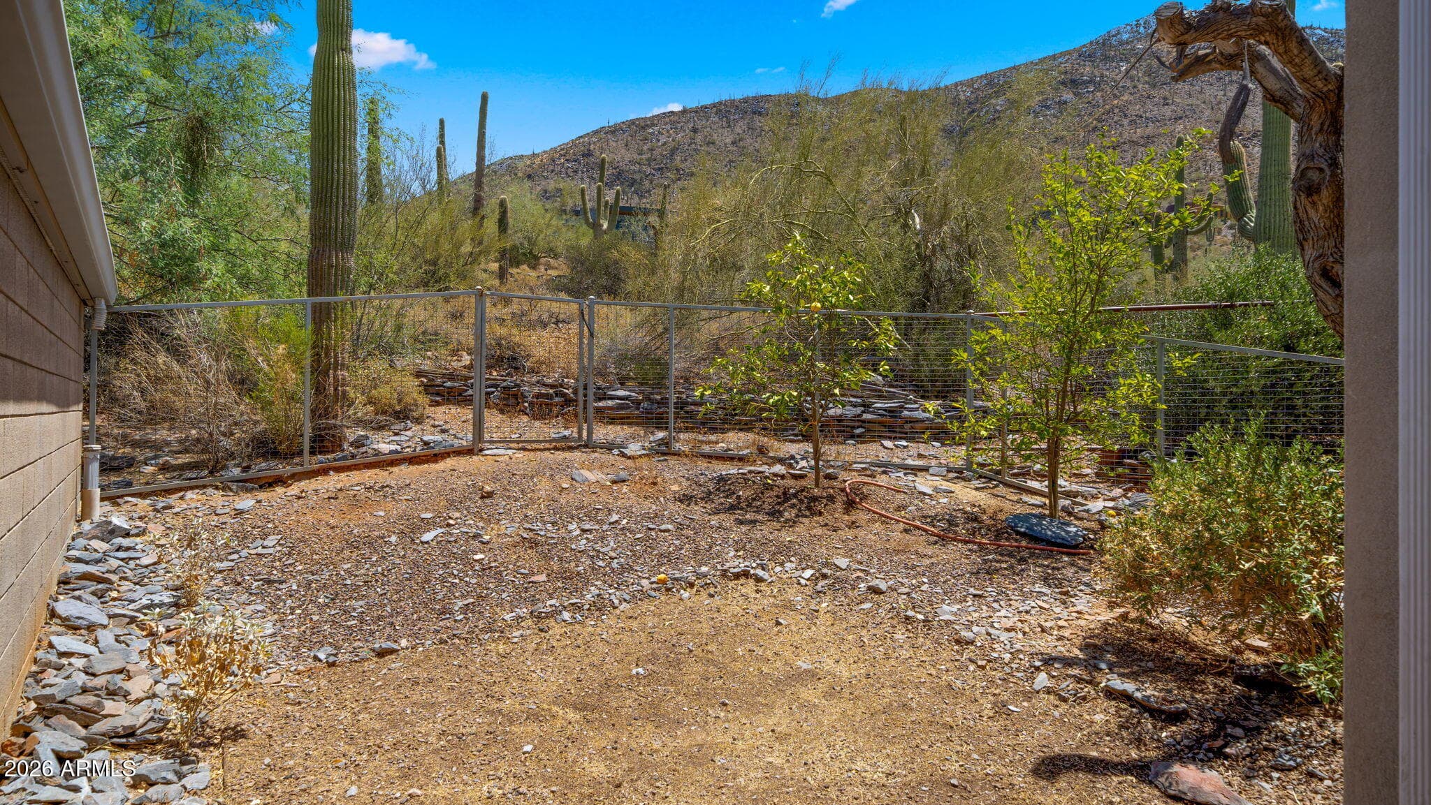 6035 E CARRIAGE Drive, Cave Creek, AZ 85331 — photo 47 of 57