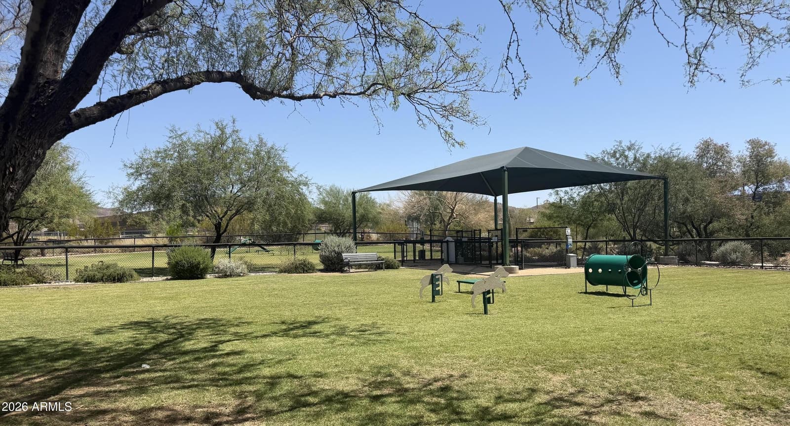 1513 W BRAMBLE BERRY Lane, Phoenix, AZ 85085 — photo 50 of 60