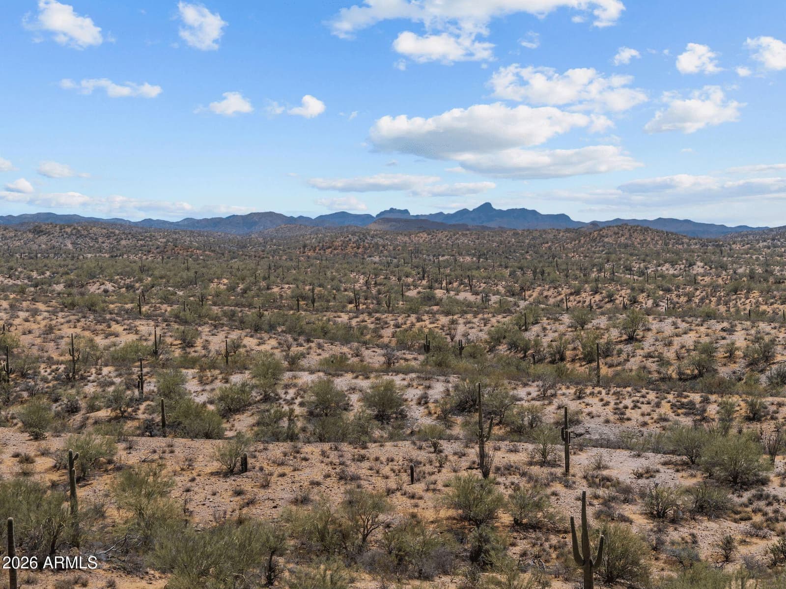 51015 N 292ND Avenue, Wickenburg, AZ 85390 — photo 72 of 76