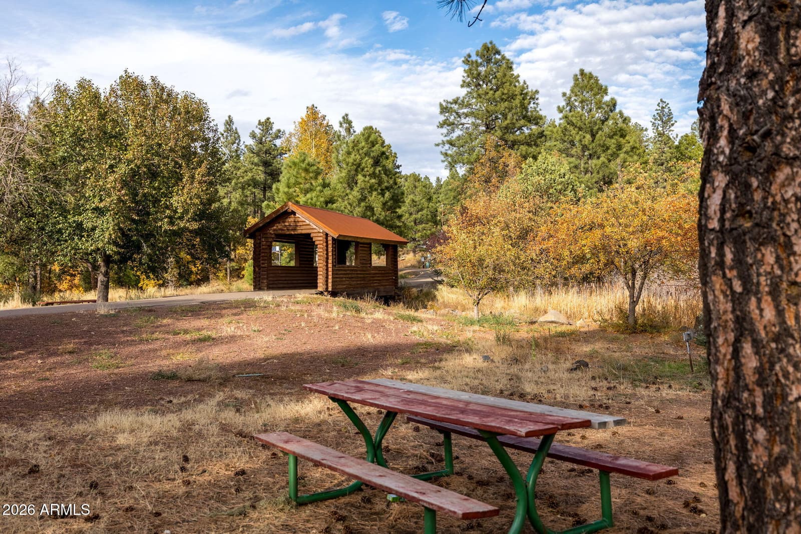 5145 DRIFTING SNOW Loop, Pinetop, AZ 85935 — photo 40 of 54
