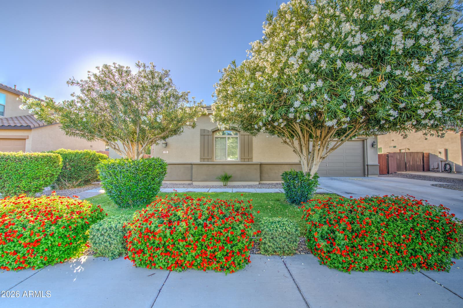 556 W SWEET SHRUB Avenue, Queen Creek, AZ 85140 — photo 44 of 72