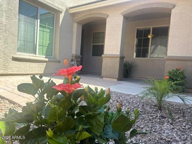 556 W SWEET SHRUB Avenue, Queen Creek, AZ 85140 — photo 53 of 72