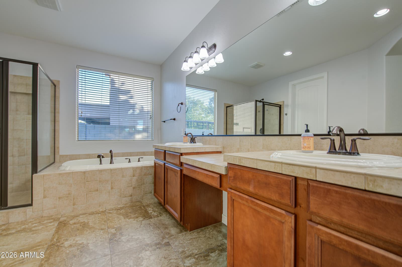 556 W SWEET SHRUB Avenue, Queen Creek, AZ 85140 — photo 23 of 72