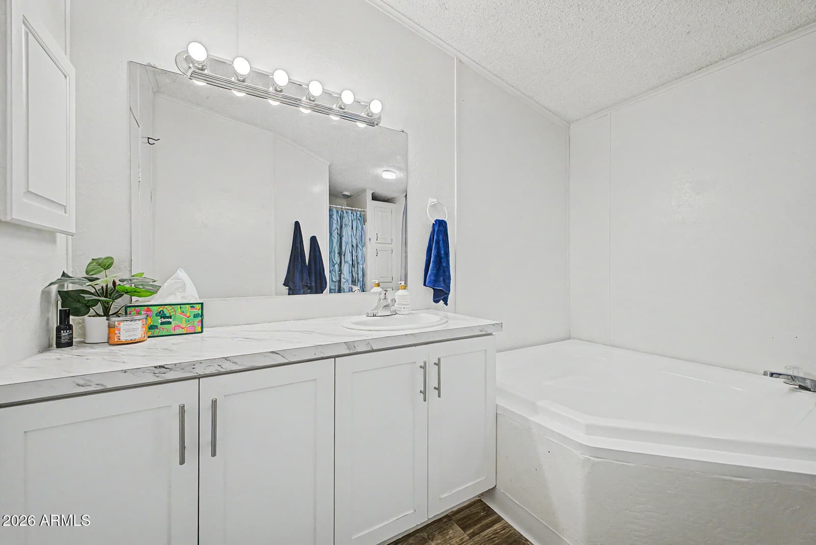 6907 W PATRICIA ANN Lane, Peoria, AZ 85382 — photo 12 of 24