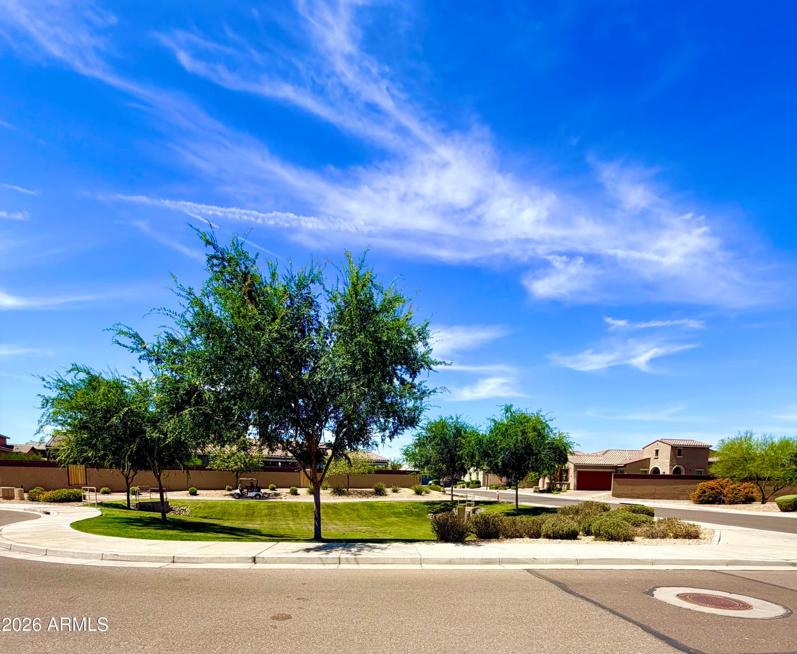 14074 W Holly Street, Goodyear, AZ 85395 — photo 48 of 52