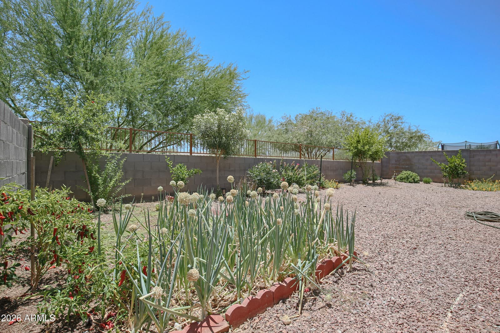 18969 W MONROE Street, Buckeye, AZ 85326 — photo 14 of 25