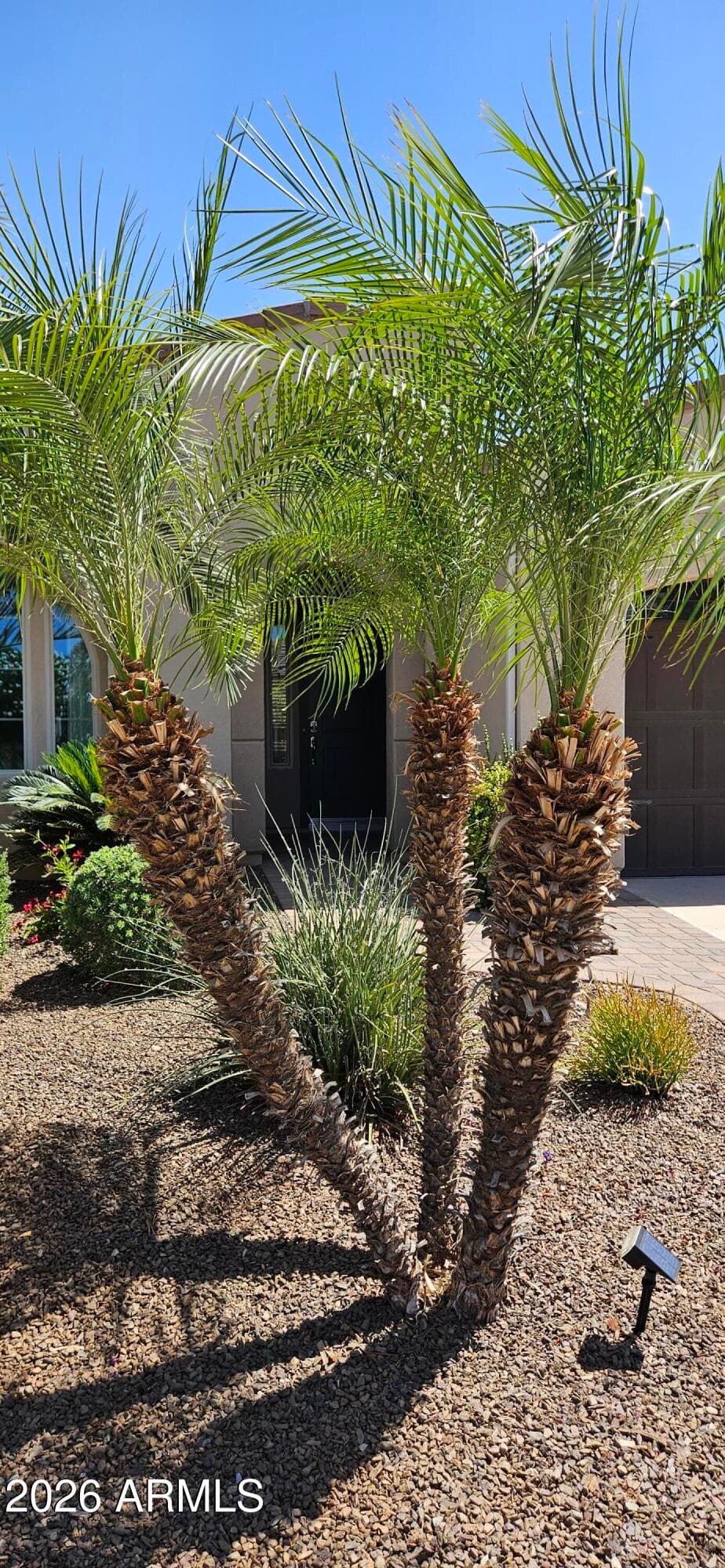 1807 E ALEGRIA Road, Queen Creek, AZ 85140 — photo 6 of 46
