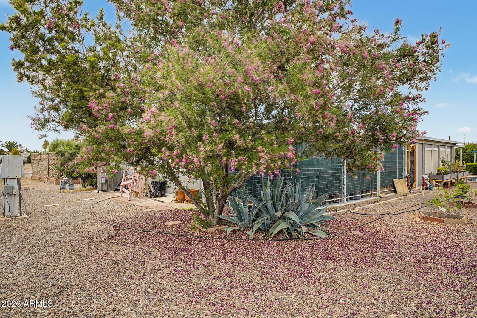 8103 E SOUTHERN Avenue 241, Mesa, AZ 85209 — photo 14 of 14