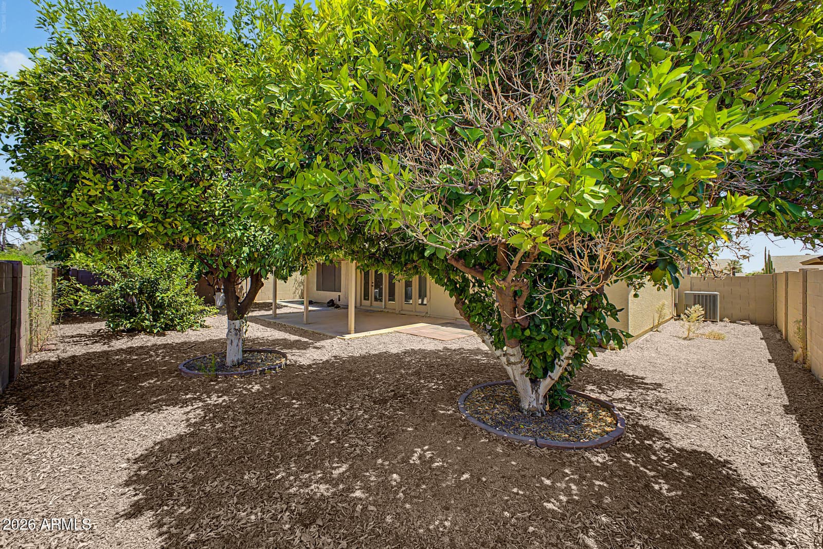 9814 W WESCOTT Drive, Peoria, AZ 85382 — photo 22 of 25