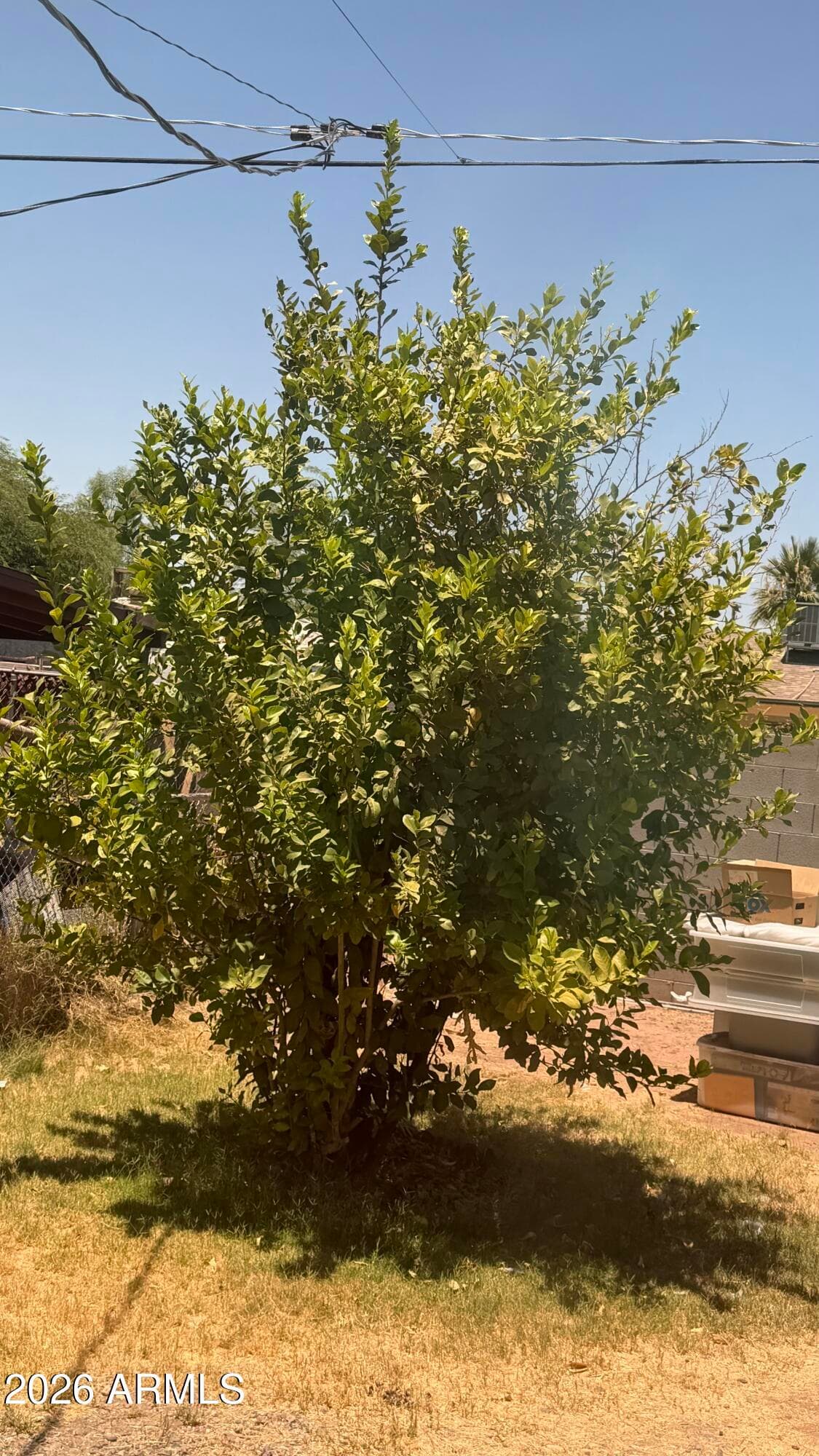 104 W PUEBLO Avenue, Phoenix, AZ 85041 — photo 26 of 30