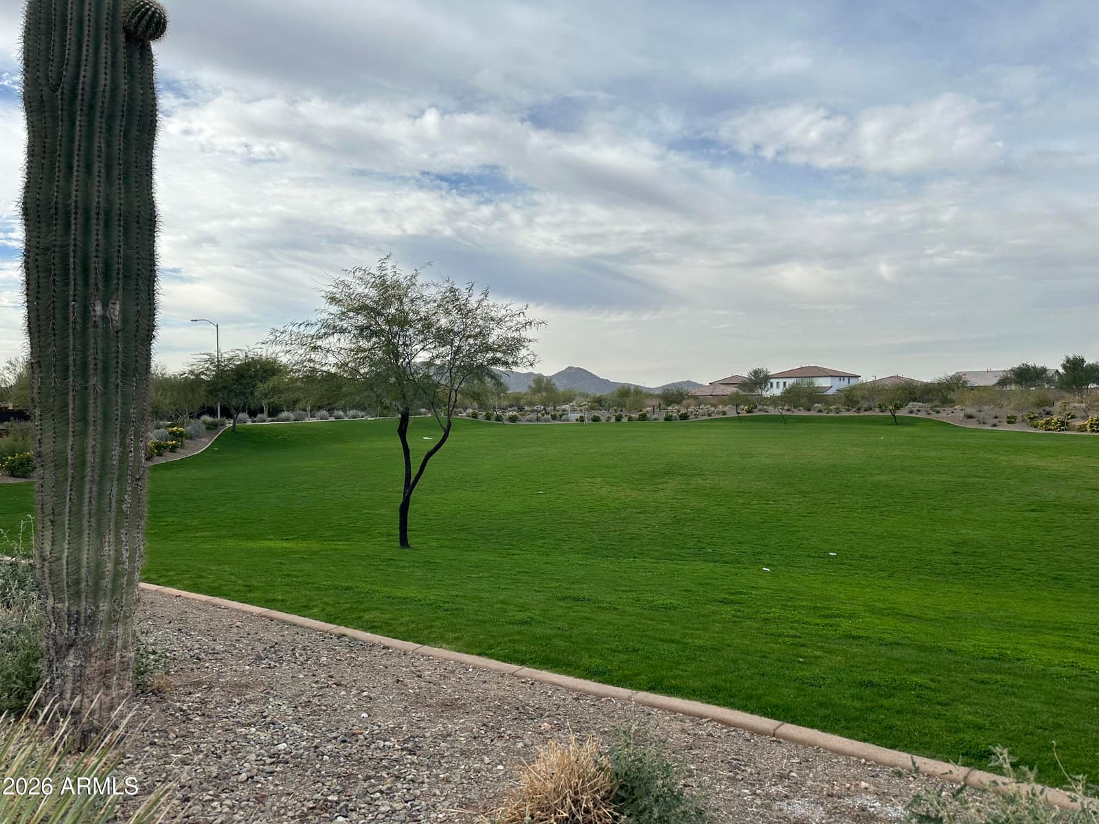 25873 N 79TH Drive, Peoria, AZ 85383 — photo 13 of 15