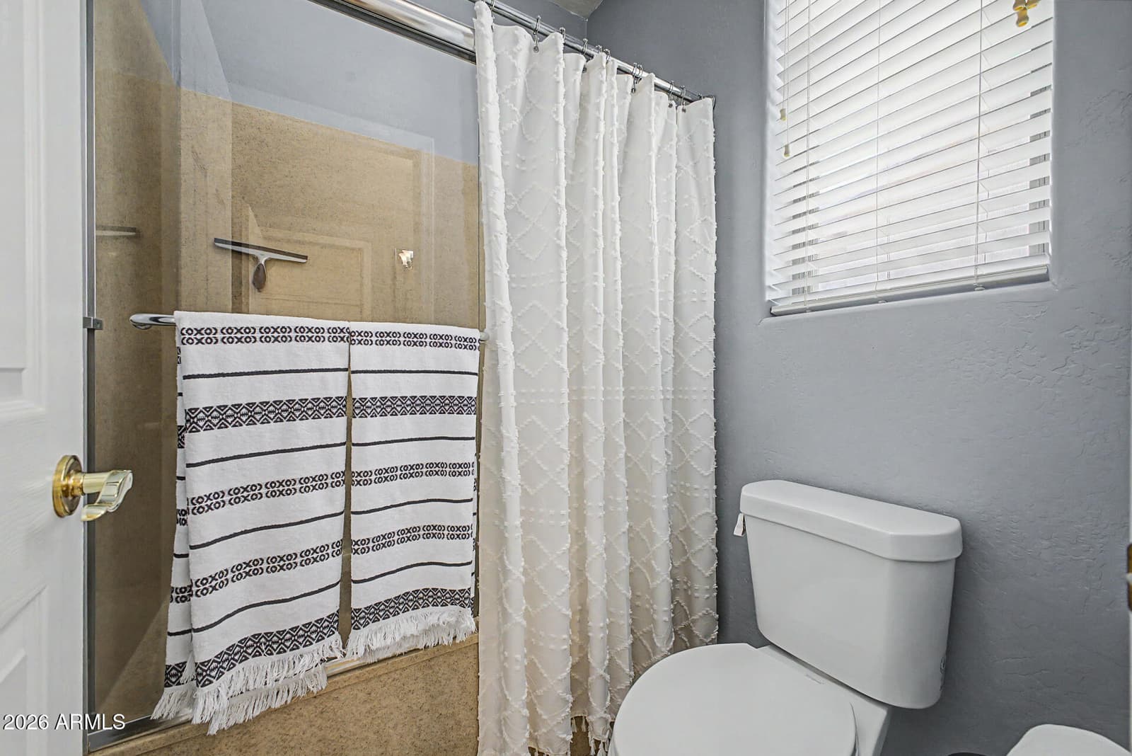 14234 W Jenan Drive, Surprise, AZ 85379 — photo 31 of 46