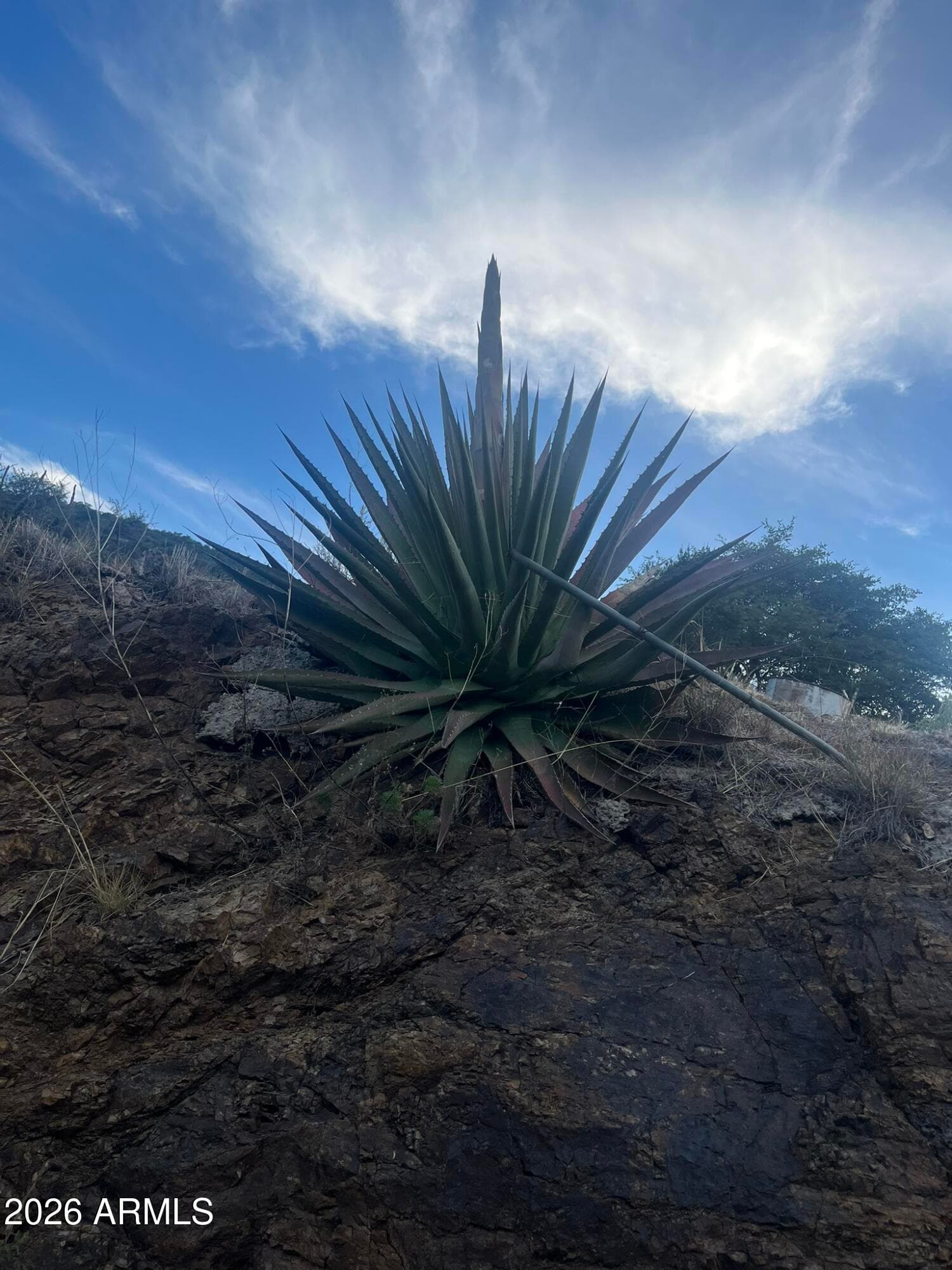820C Tombstone Canyon, Bisbee, AZ 85603 — photo 18 of 22