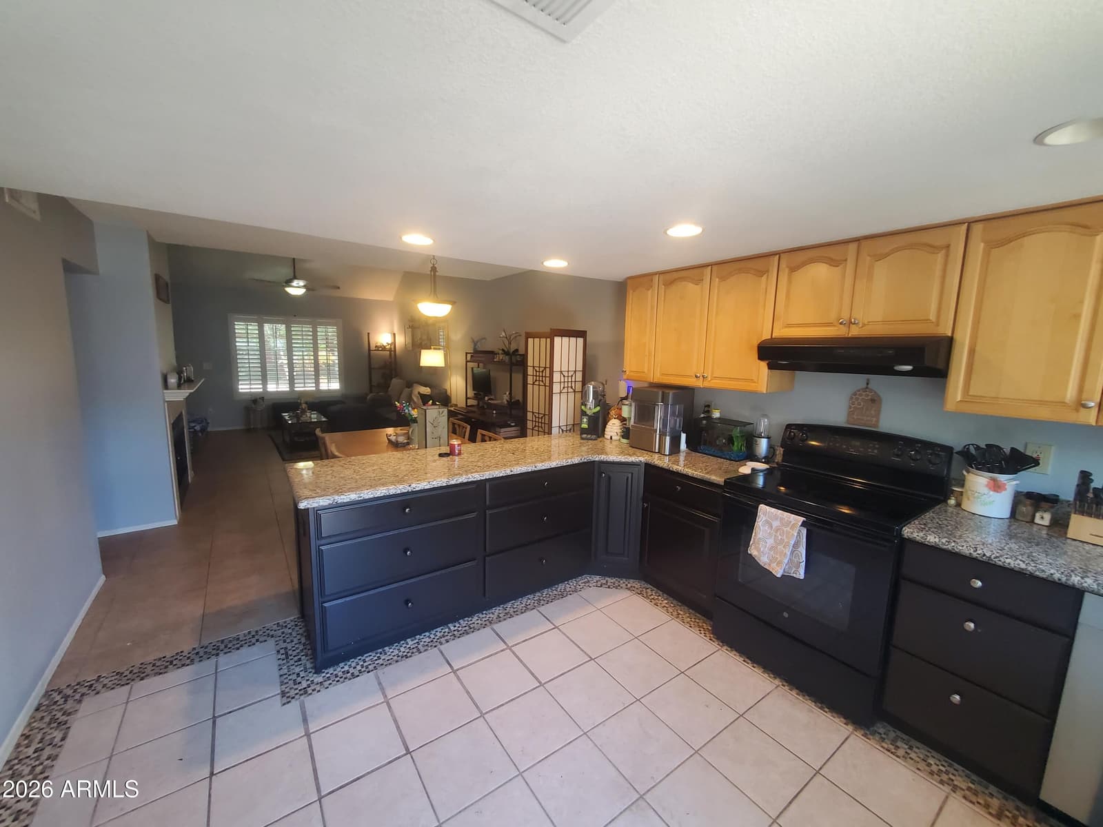 10100 N 89th Avenue 33, Peoria, AZ 85345 — photo 5 of 19