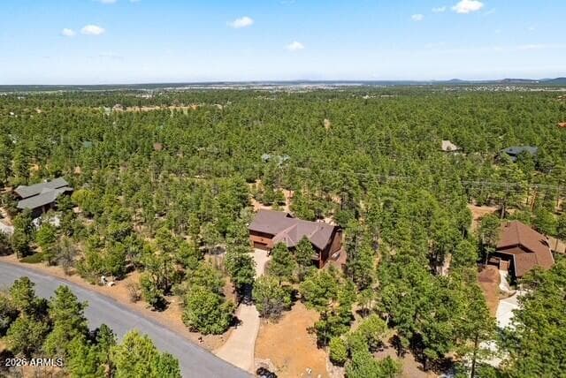 1761 S KNOLL Trail, Show Low, AZ 85901 — photo 48 of 56
