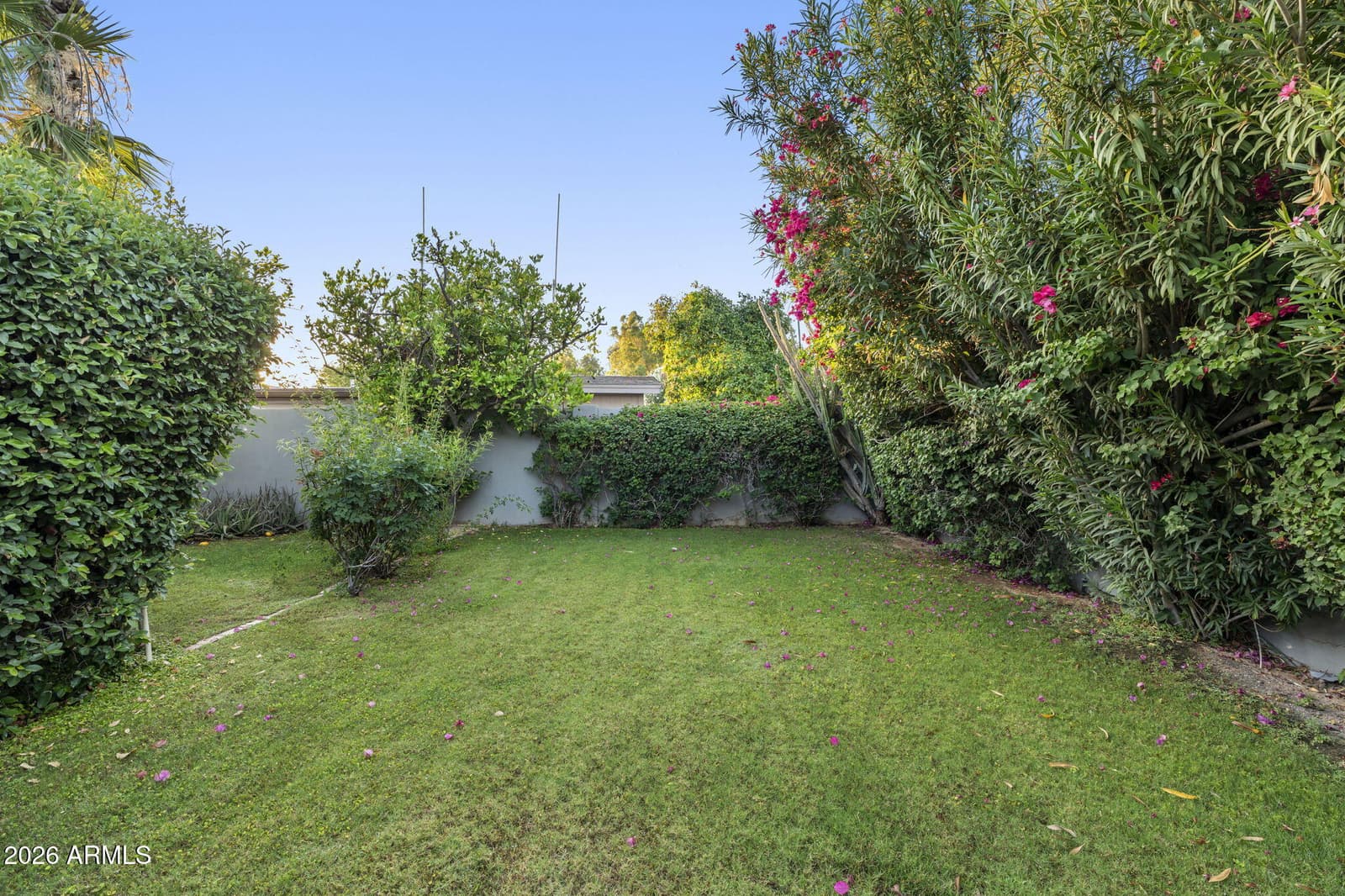 8022 E VIA BONITA, Scottsdale, AZ 85258 — photo 50 of 62