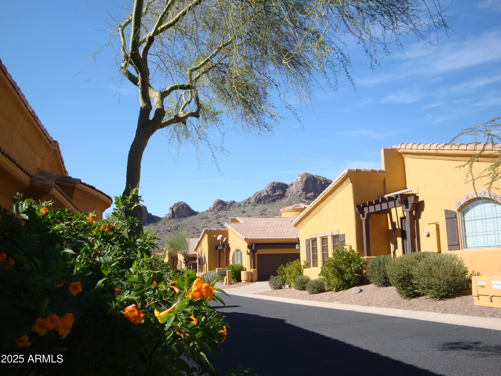 5370 S DESERT DAWN Drive 43, Gold Canyon, AZ 85118 — photo 21 of 24