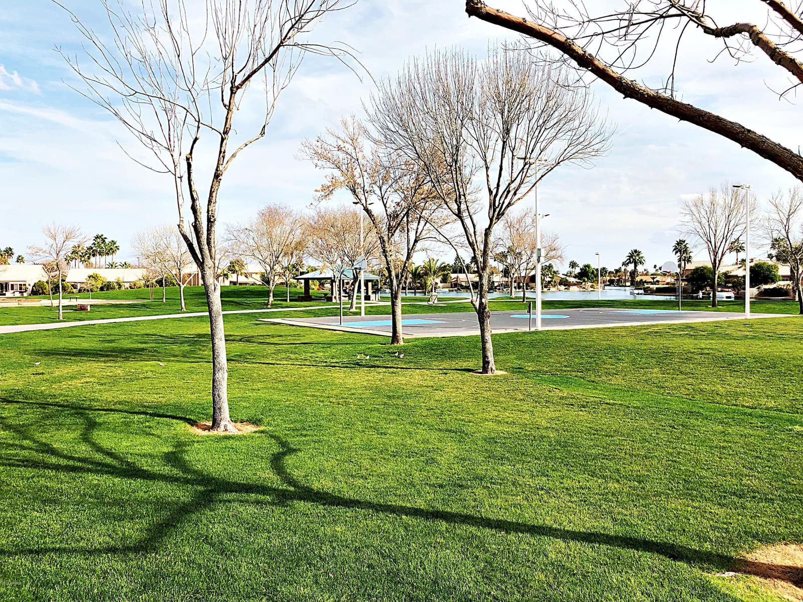 1485 W Sea Fog Drive, Gilbert, AZ 85233 — photo 33 of 36