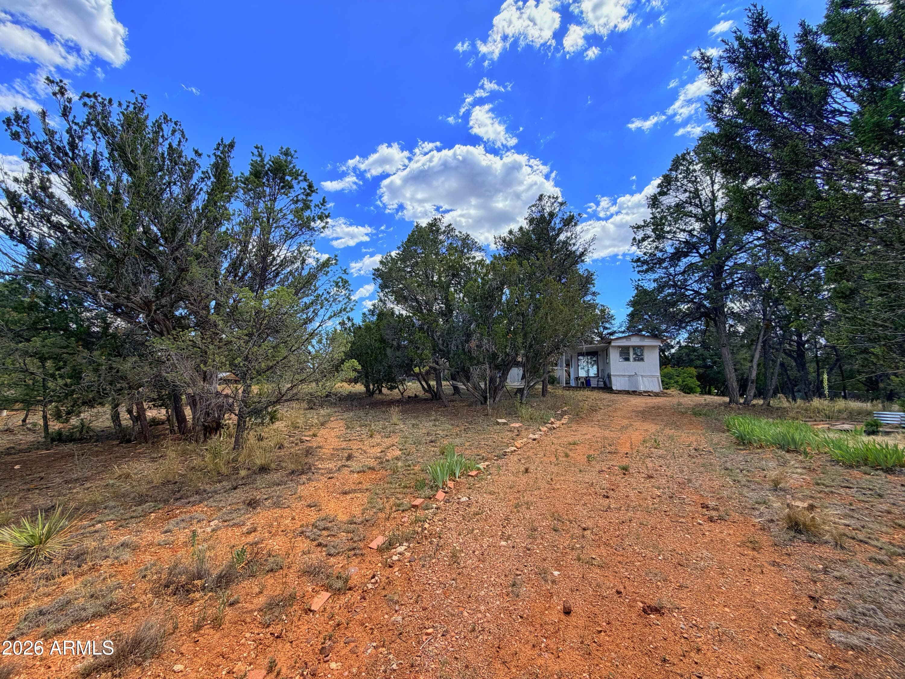 3405 BUCKHORN BEND Road, Overgaard, AZ 85933 — photo 13 of 13