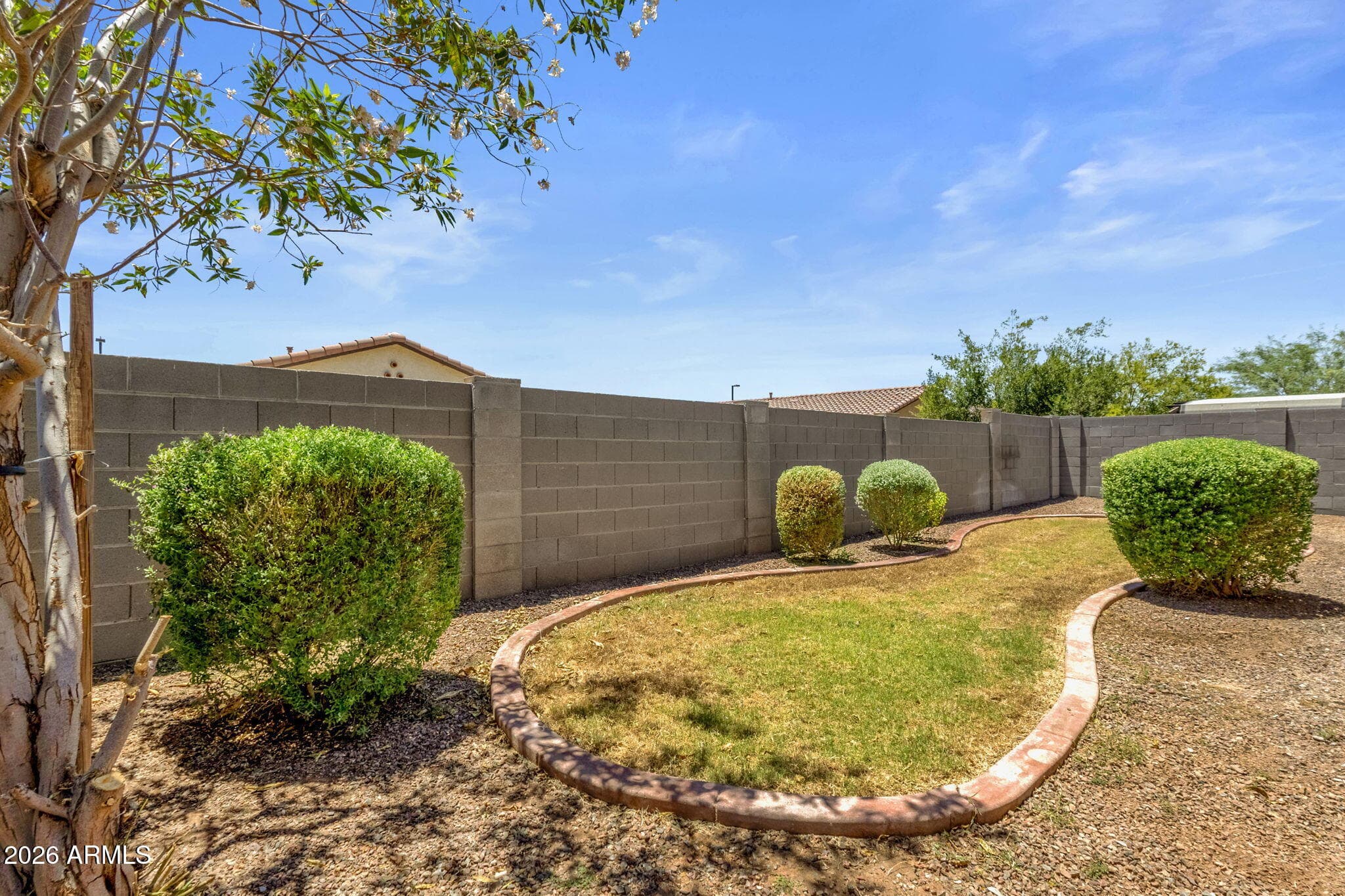 21171 W HOLLY Street, Buckeye, AZ 85396 — photo 46 of 76