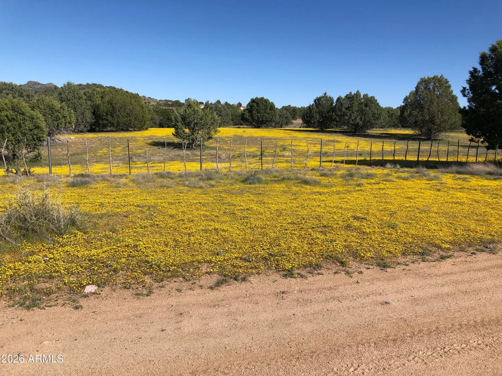 20250 N Lower Territory Road, Prescott, AZ 86301 — photo 8 of 8