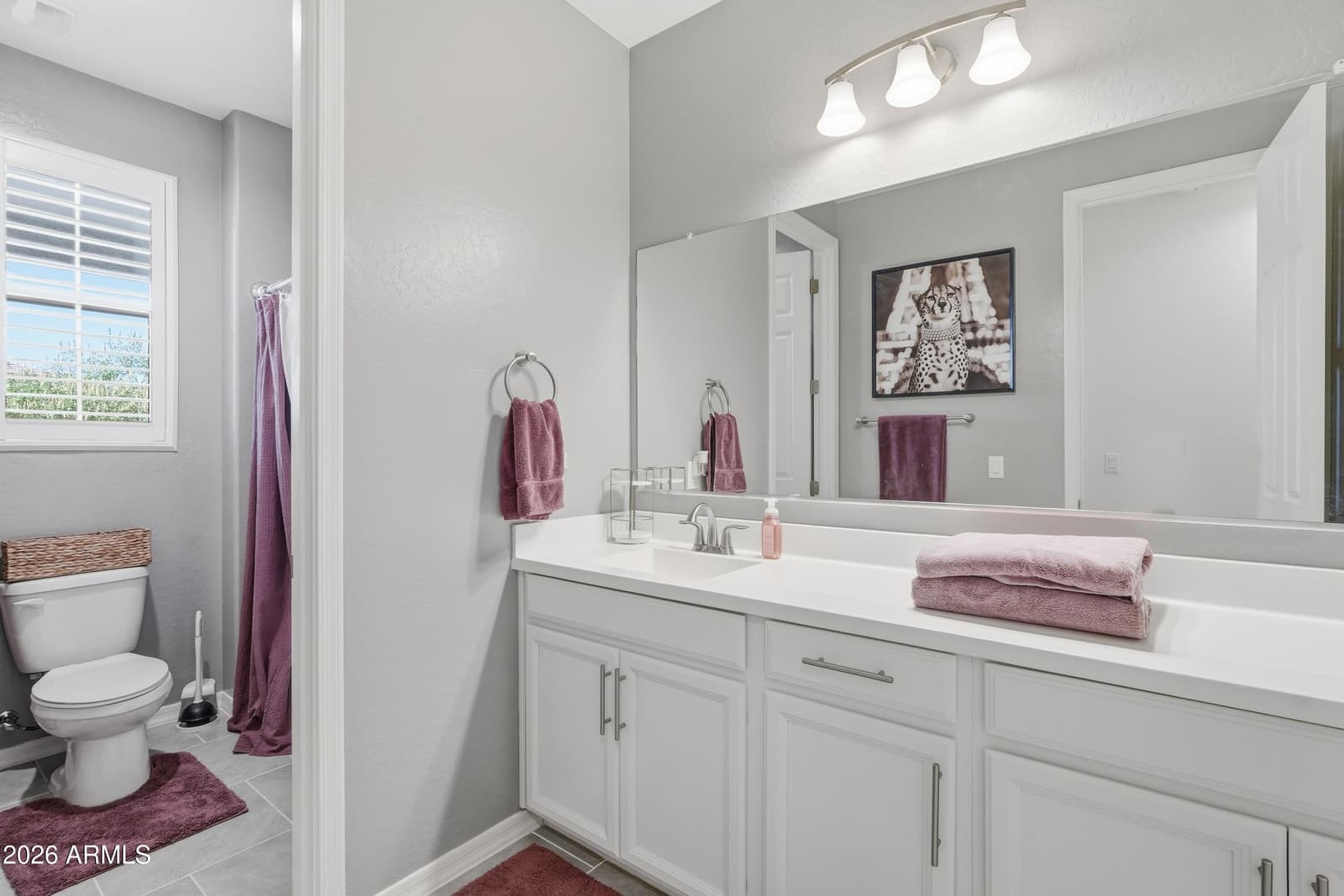 16475 W FAWN Drive, Goodyear, AZ 85338 — photo 39 of 47