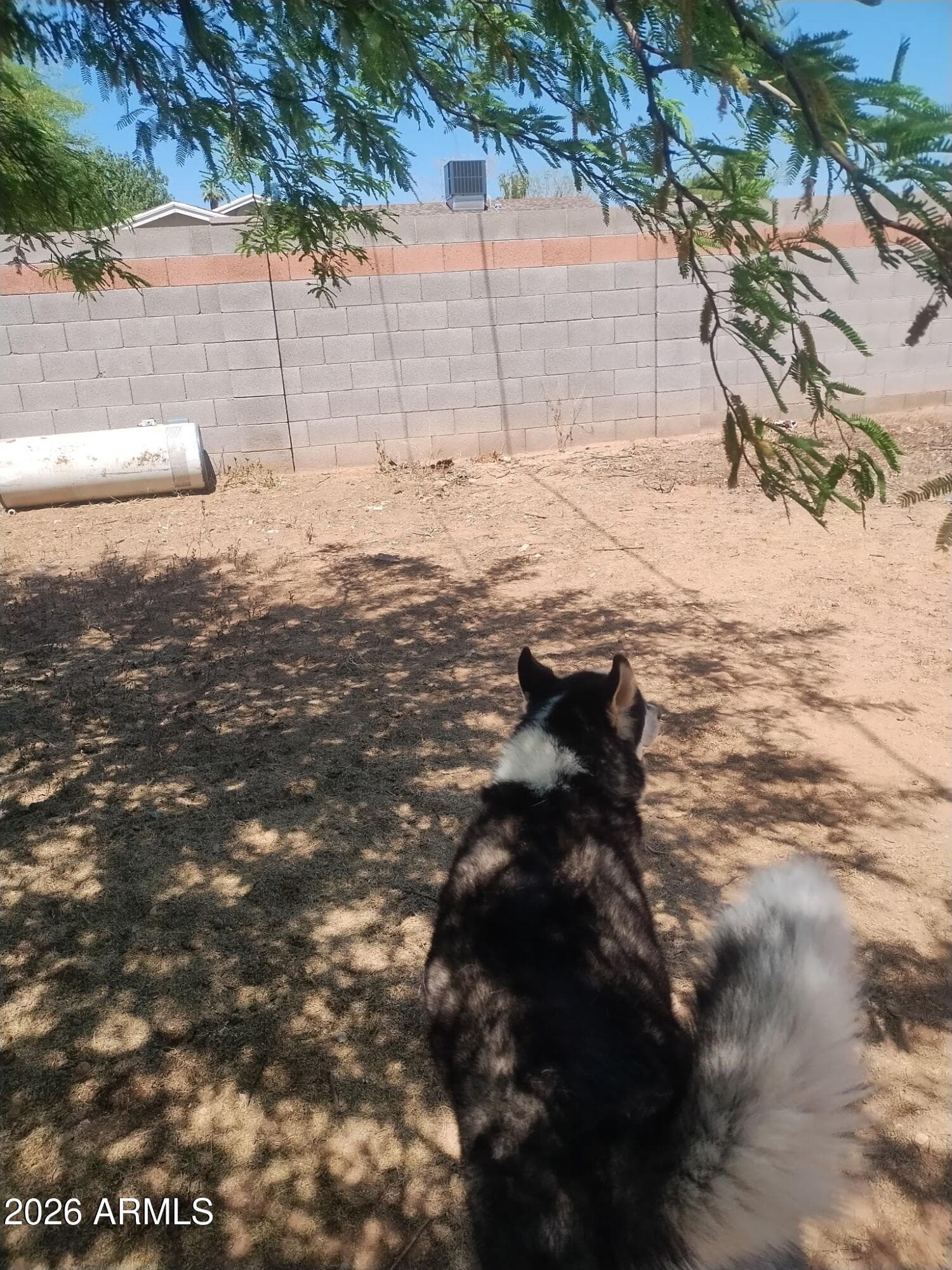1808 E INDIANOLA Avenue, Phoenix, AZ 85016 — photo 2 of 12