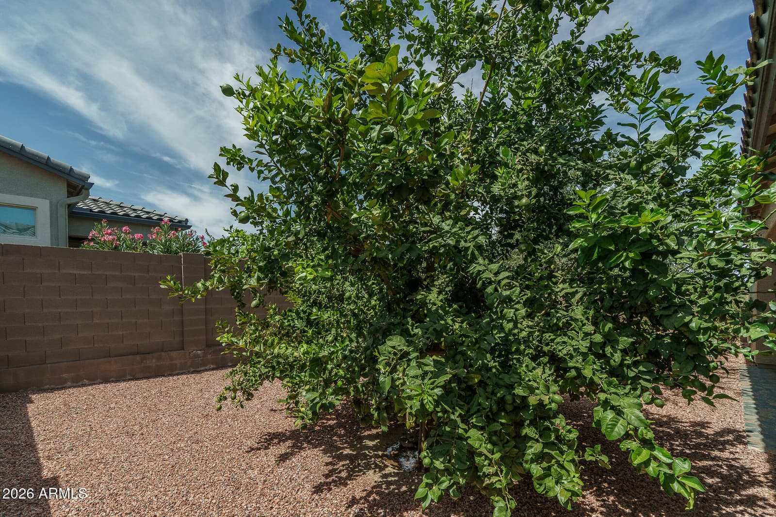 18059 W TANGLEWOOD Drive, Goodyear, AZ 85338 — photo 22 of 58
