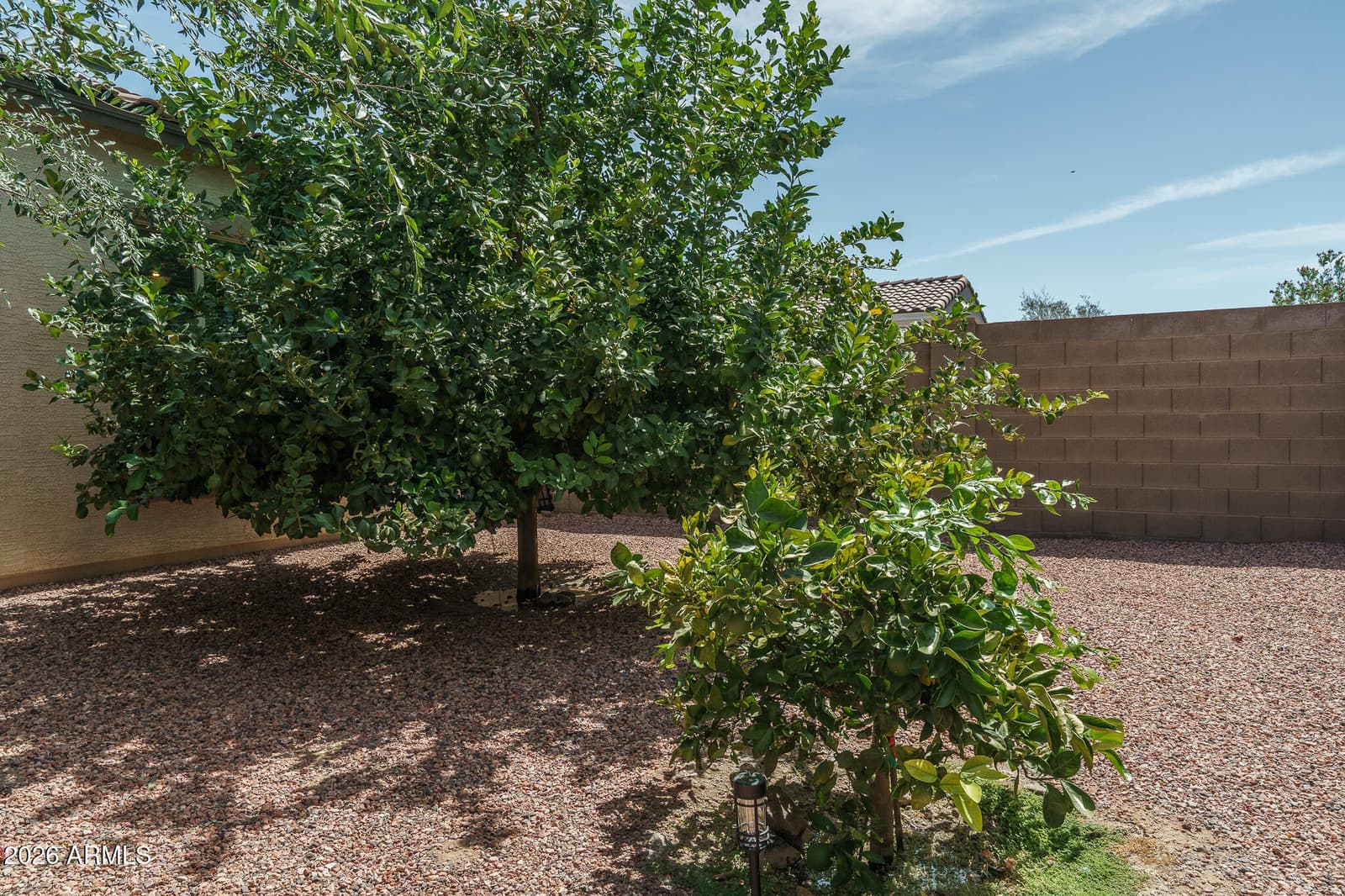 18059 W TANGLEWOOD Drive, Goodyear, AZ 85338 — photo 24 of 58
