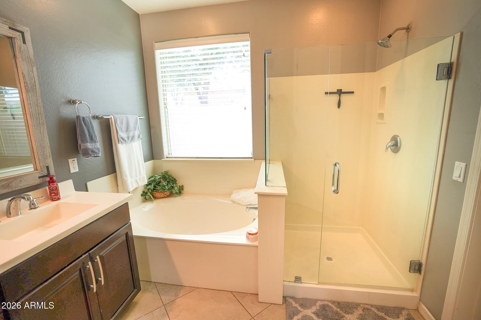 1742 N 144TH Drive, Goodyear, AZ 85395 — photo 20 of 36