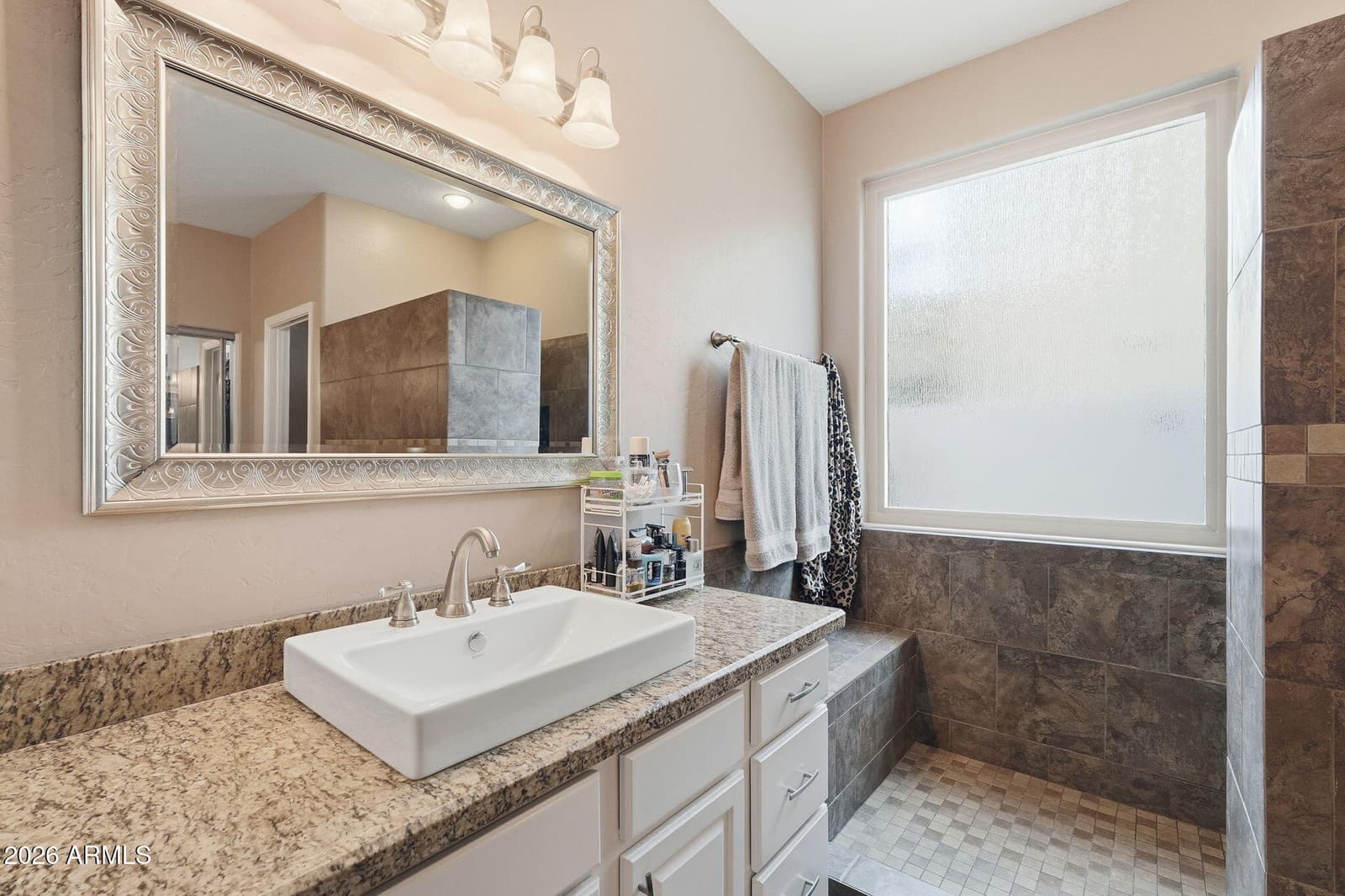 4032 N 149TH Avenue, Goodyear, AZ 85395 — photo 46 of 68