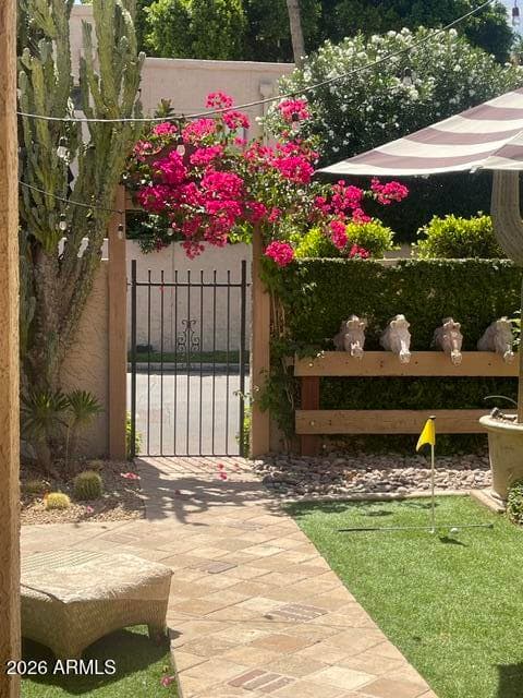 4525 N 66TH Street 135, Scottsdale, AZ 85251 — photo 24 of 45