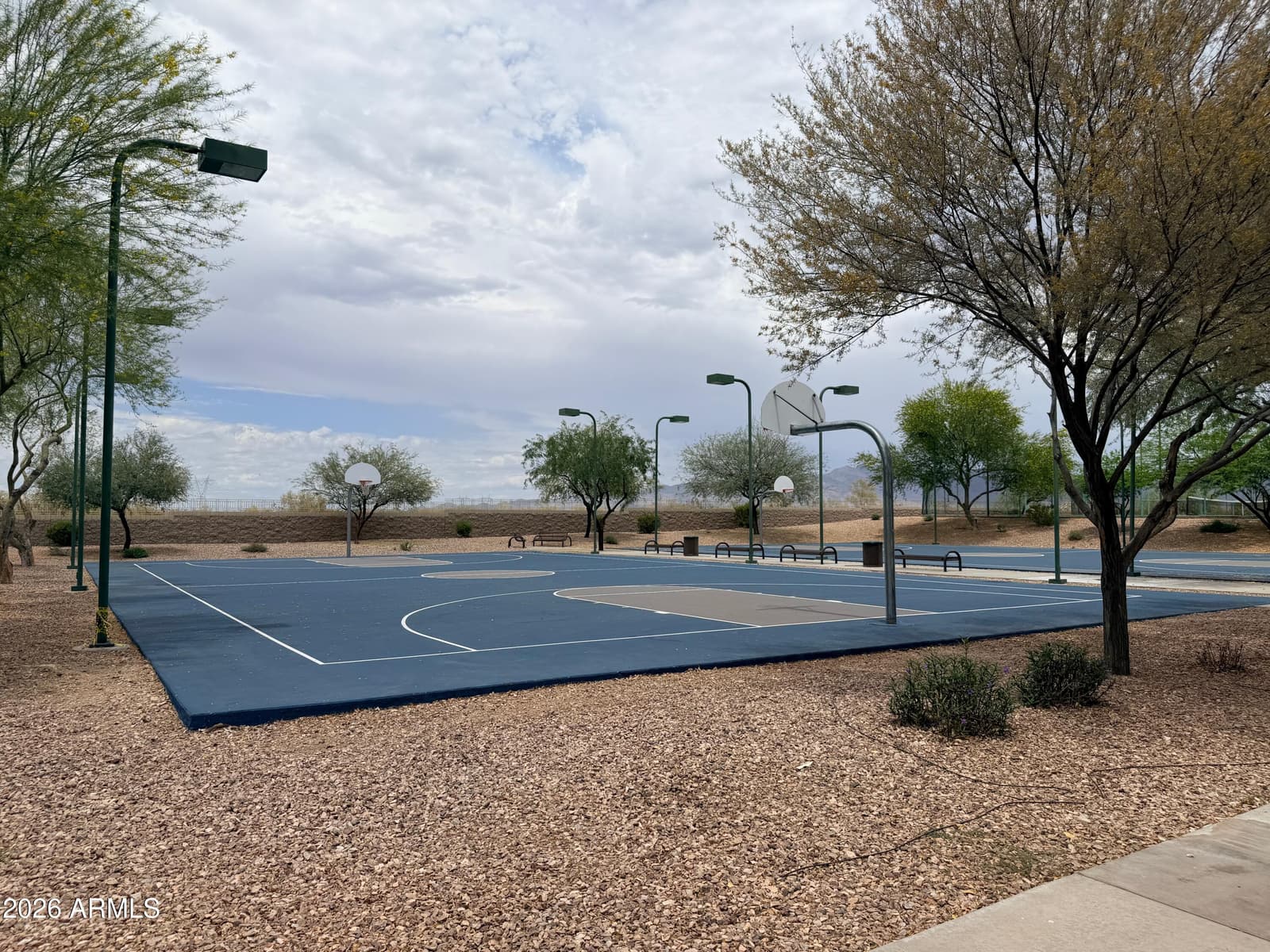 3193 N 302ND Avenue, Buckeye, AZ 85396 — photo 49 of 51