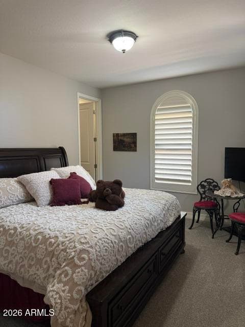 29408 N 224TH Drive, Wittmann, AZ 85361 — photo 15 of 25