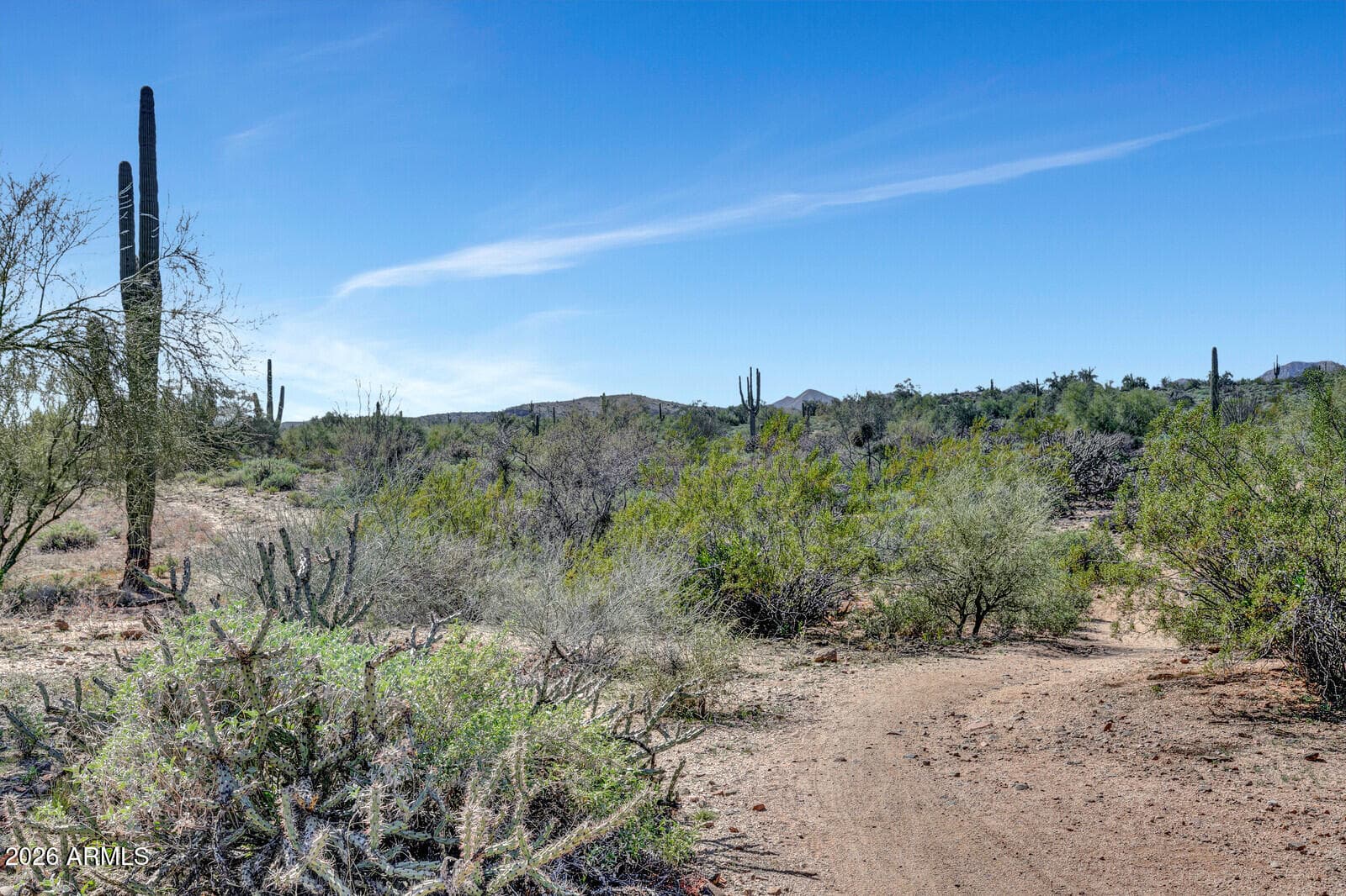 18425 E FOUR PEAKS Boulevard, Rio Verde, AZ 85263 — photo 66 of 73