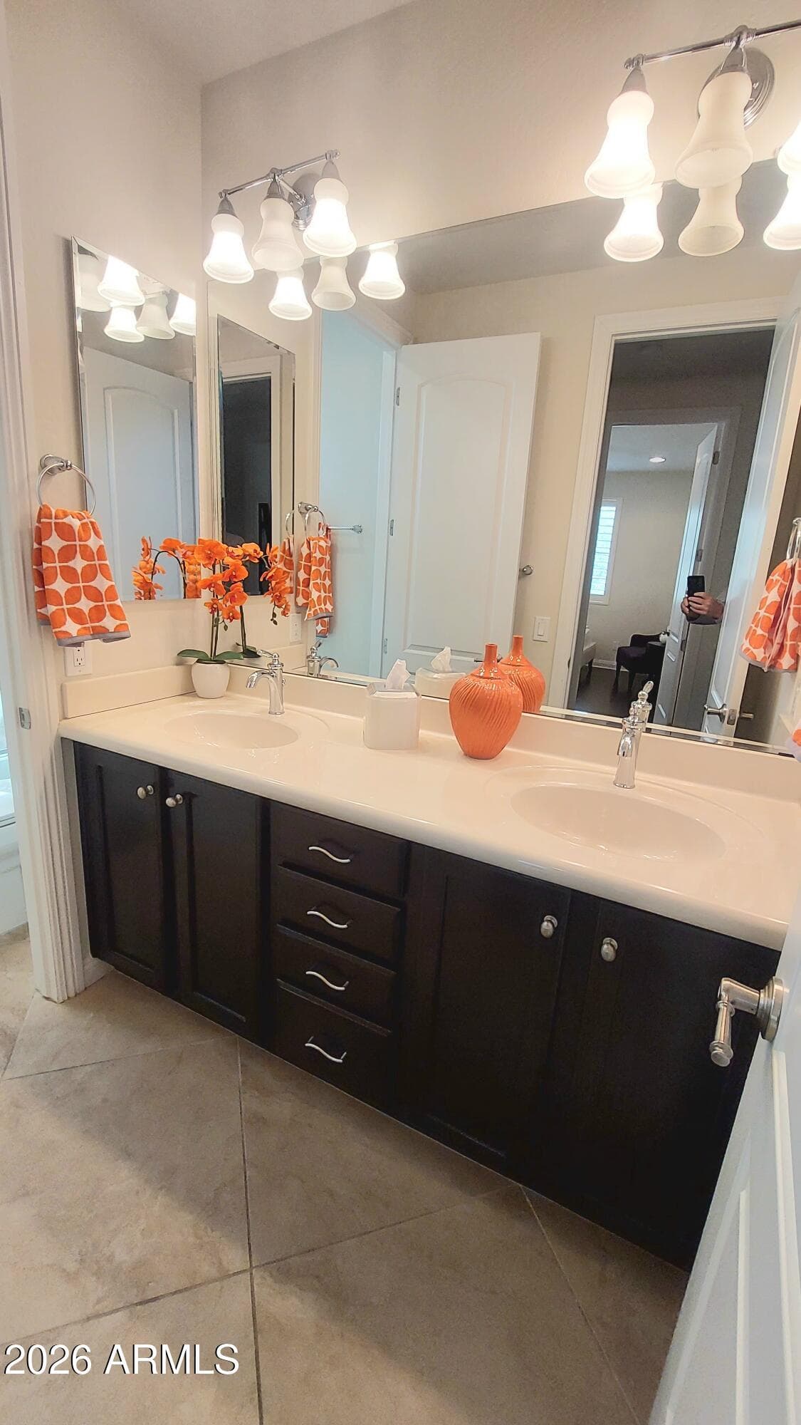 3762 E Ringtail Way, Phoenix, AZ 85050 — photo 28 of 41