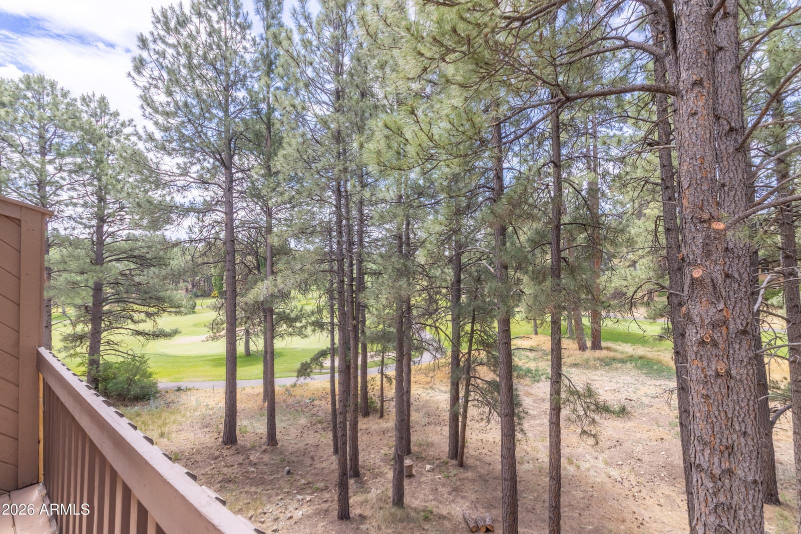 2296 N EARLE Drive, Flagstaff, AZ 86004 — photo 26 of 38